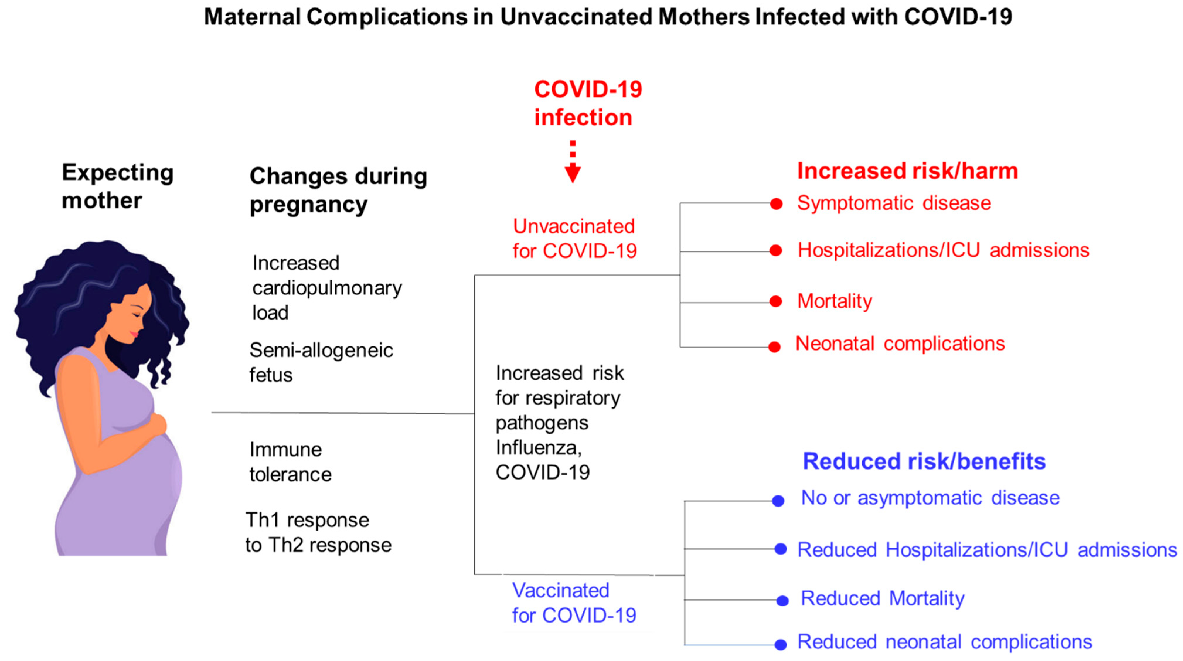 Vaccines 10 02122 g002