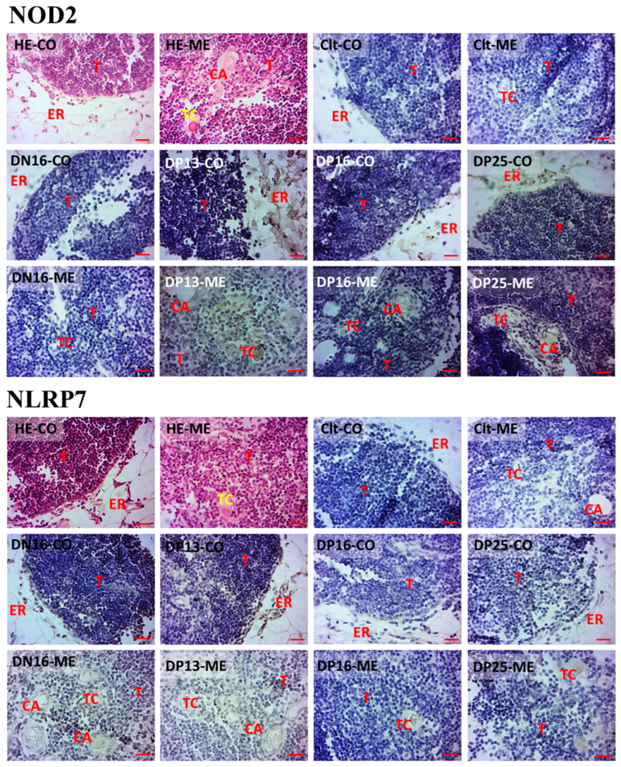 Vaccines 10 02128 g003