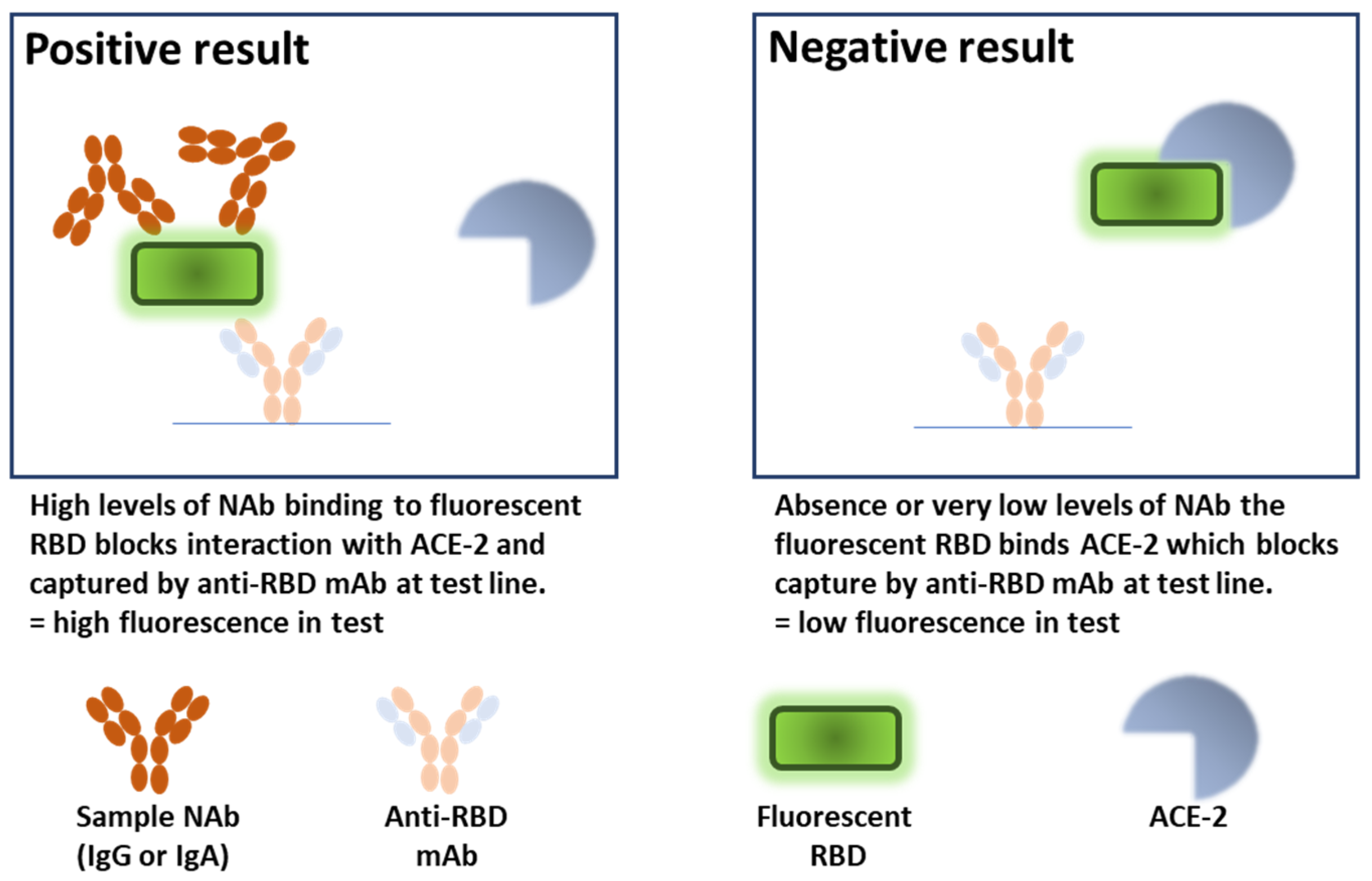 Vaccines 10 02149 g001 Vaccines 10 02149 g001