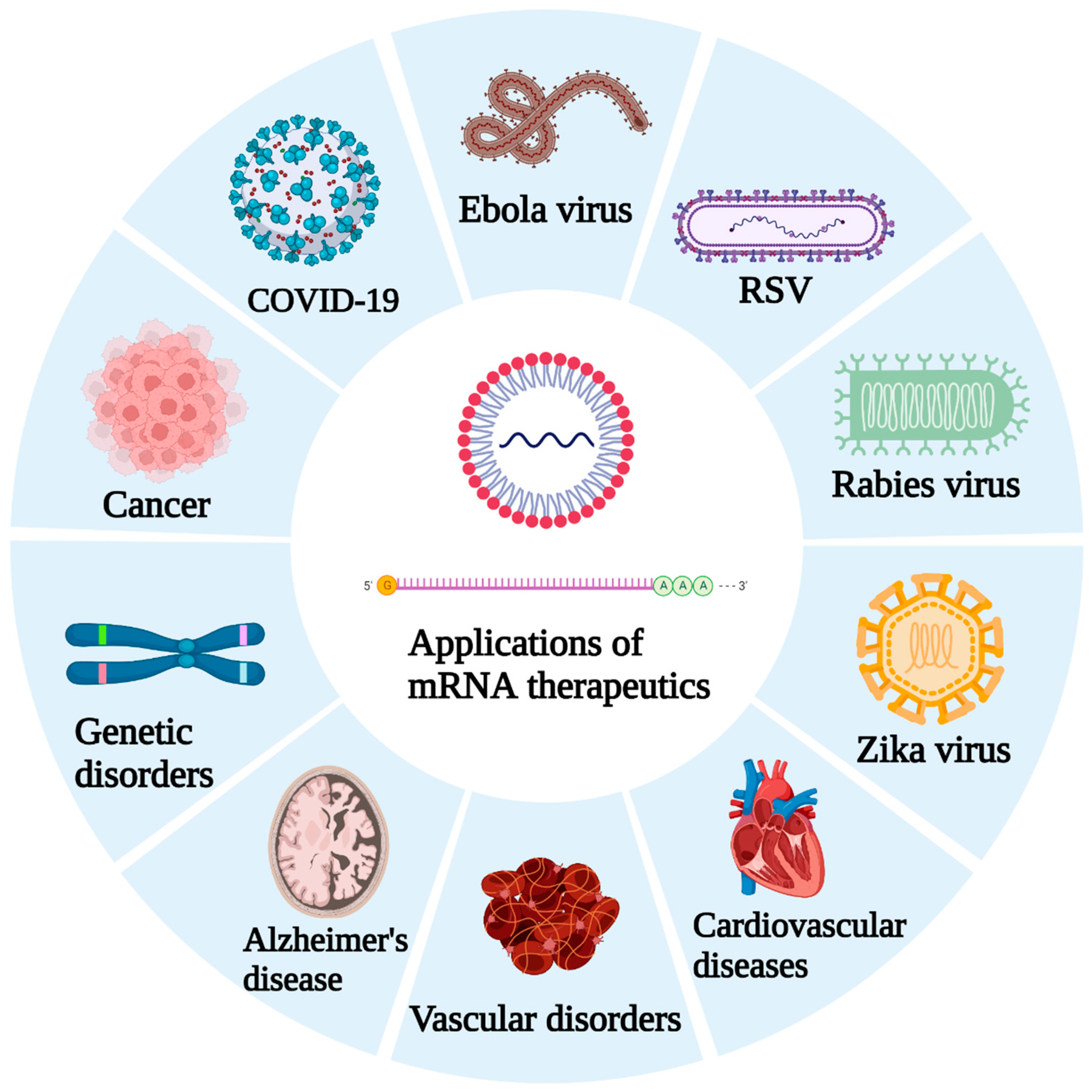 Vaccines 10 02150 g002