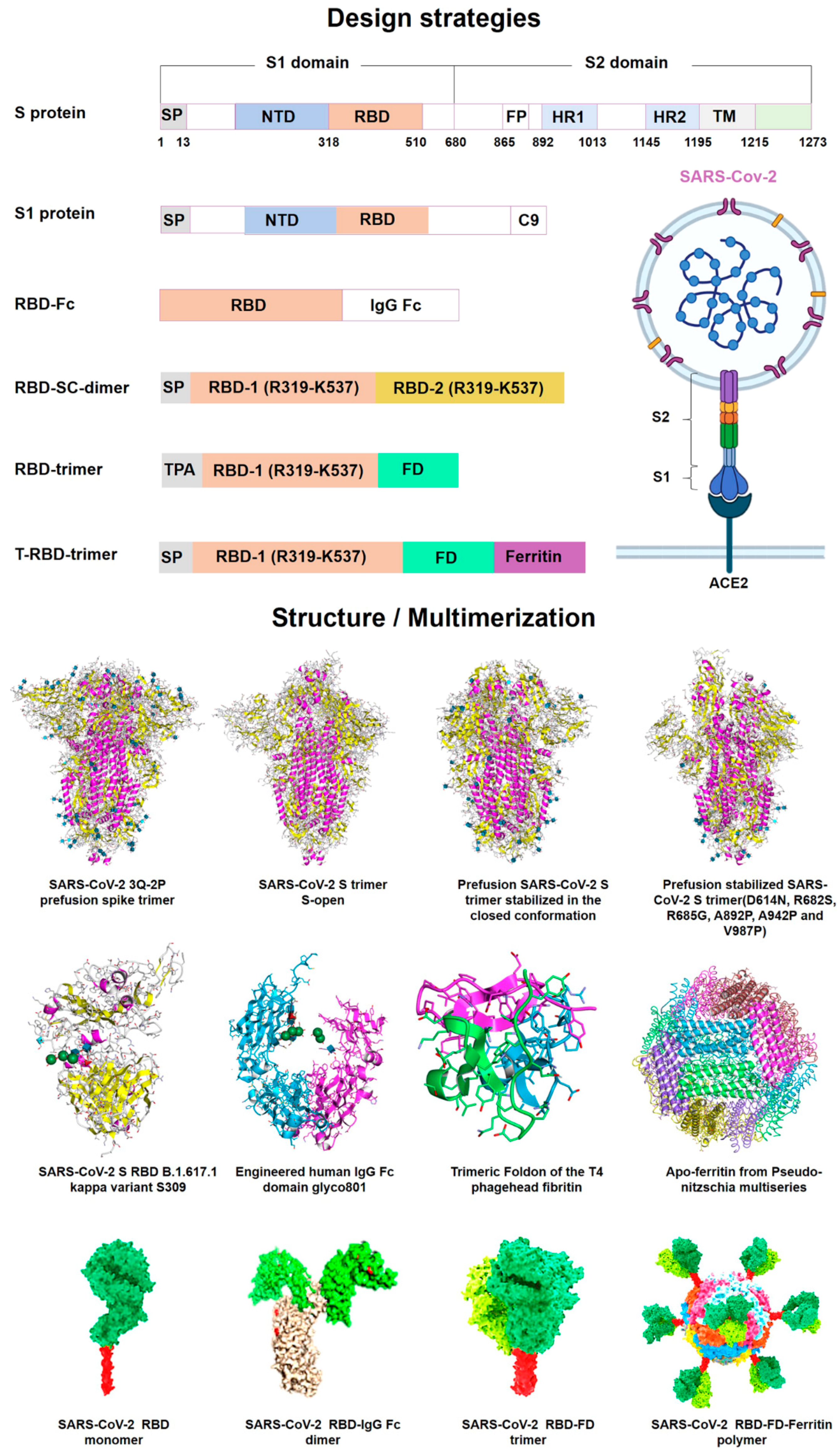 Vaccines 10 02150 g003