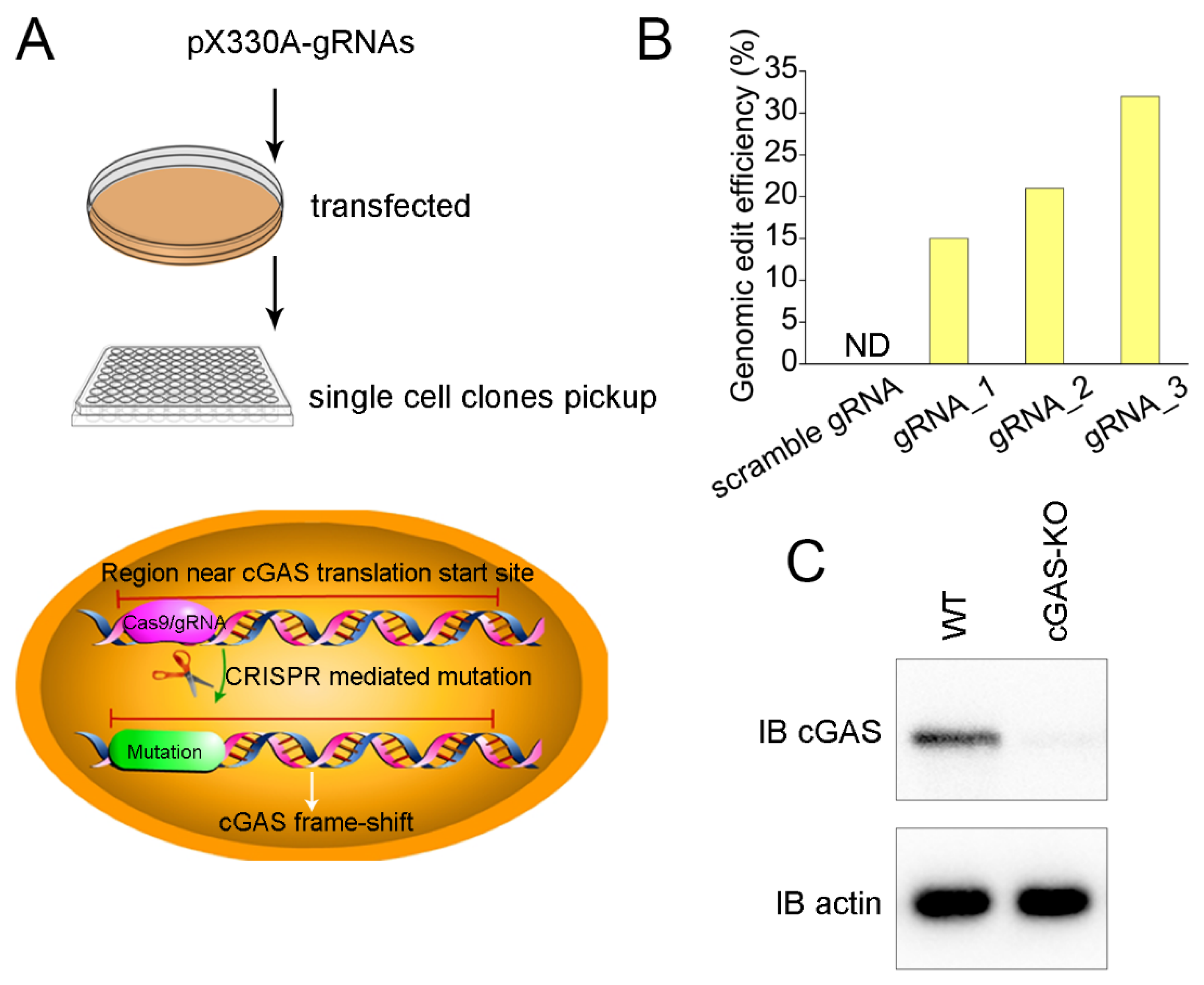 Vaccines 10 02170 g003