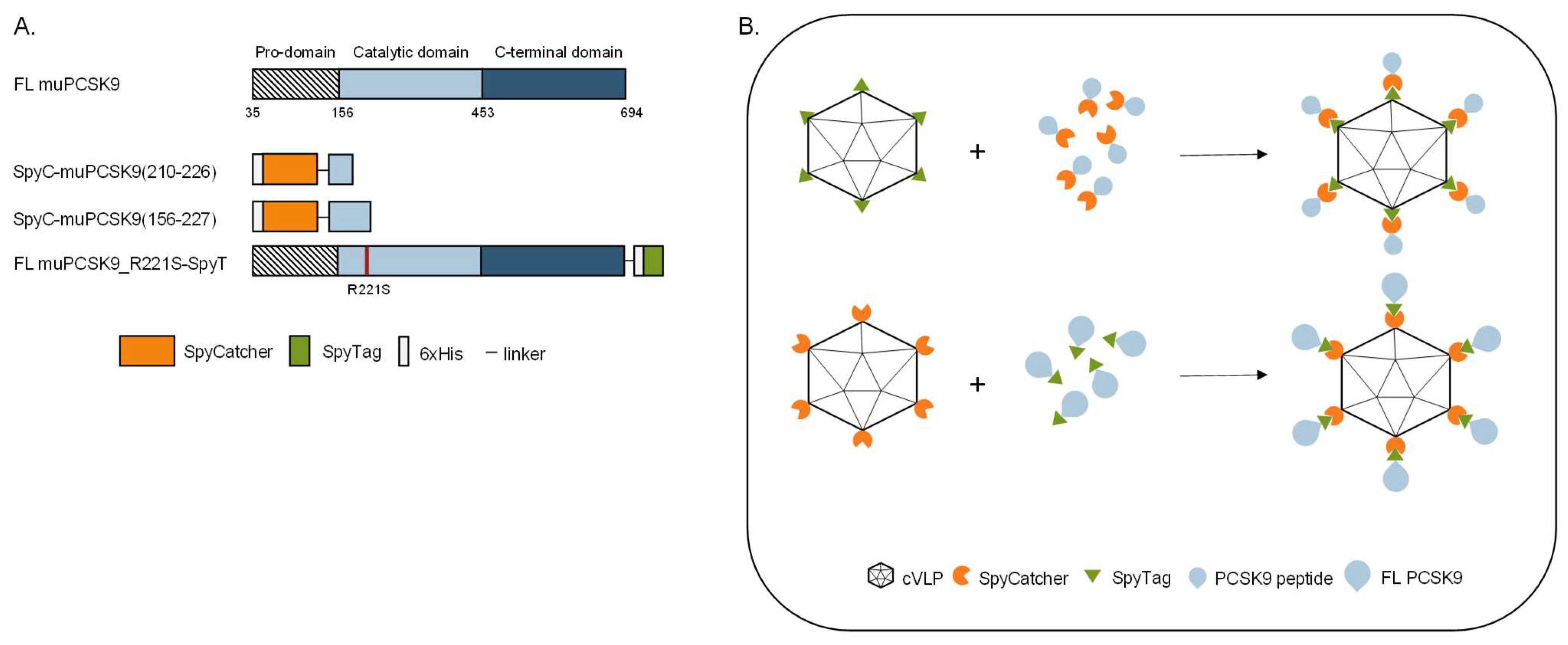 Vaccines 11 00002 g001