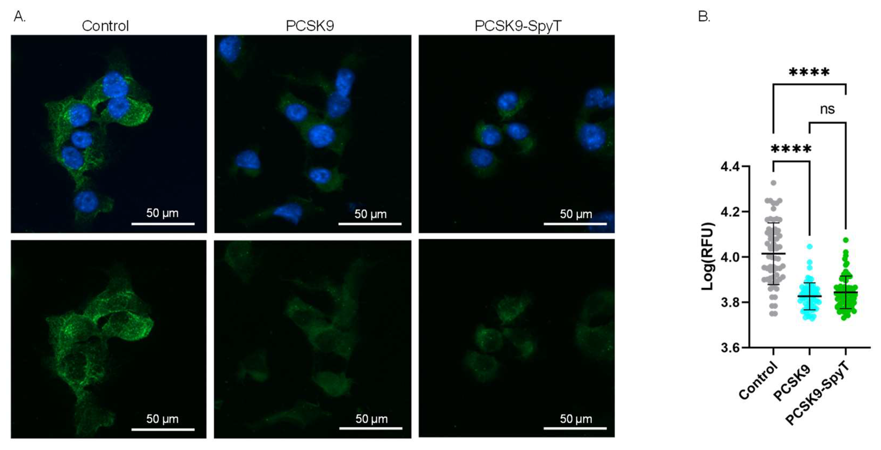 Vaccines 11 00002 g003