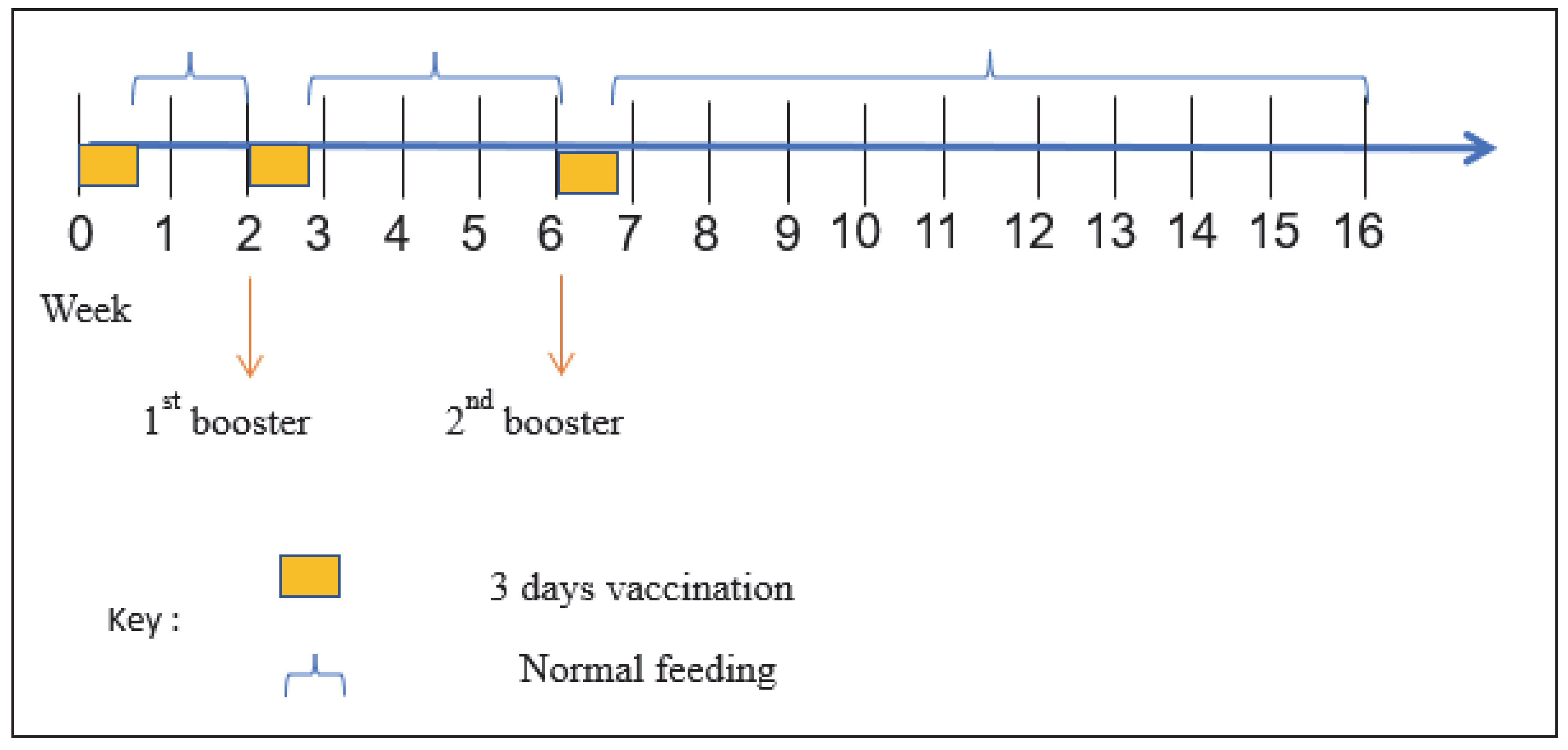 Vaccines 11 00009 g001 Vaccines 11 00009 g001