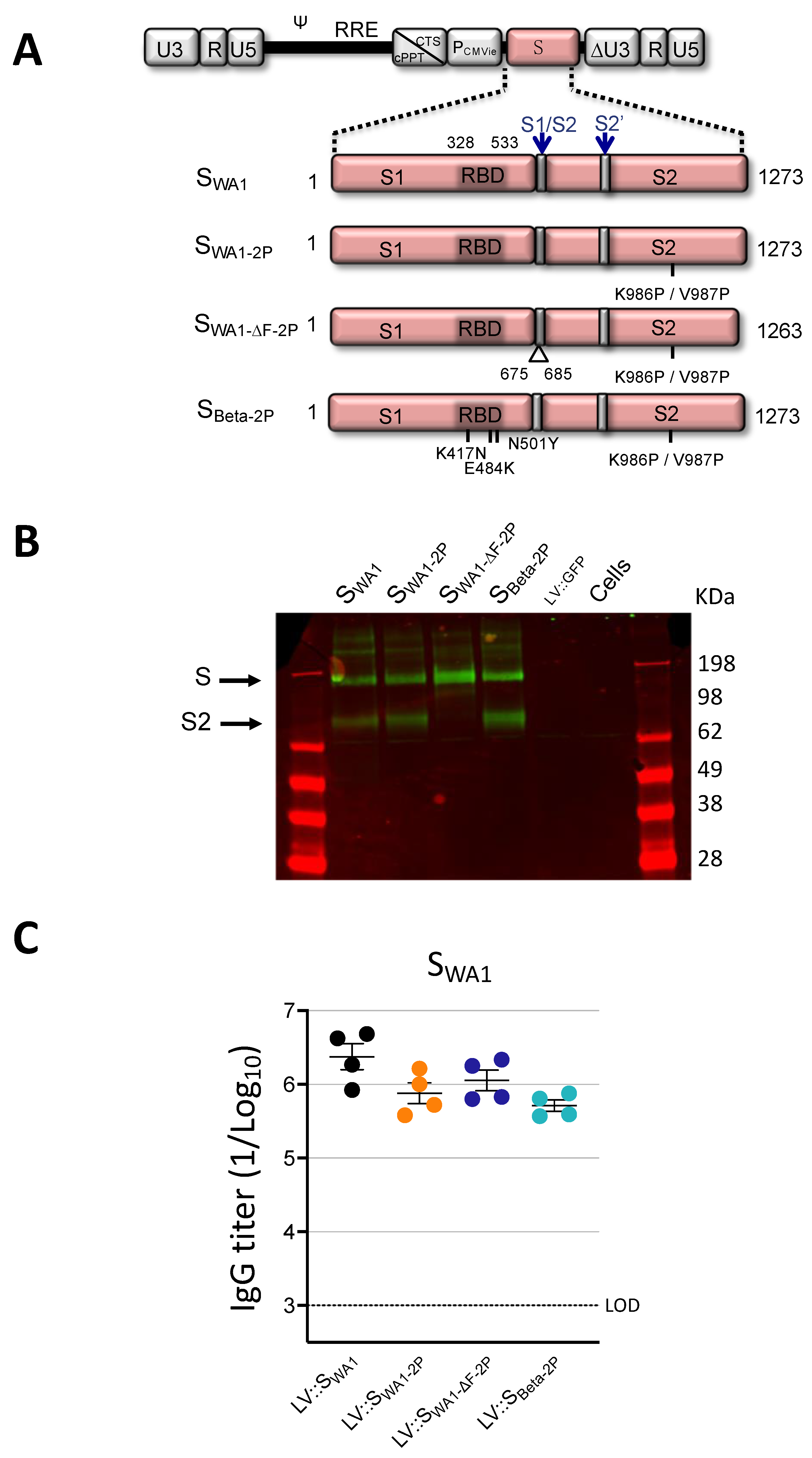 Vaccines 11 00012 g001