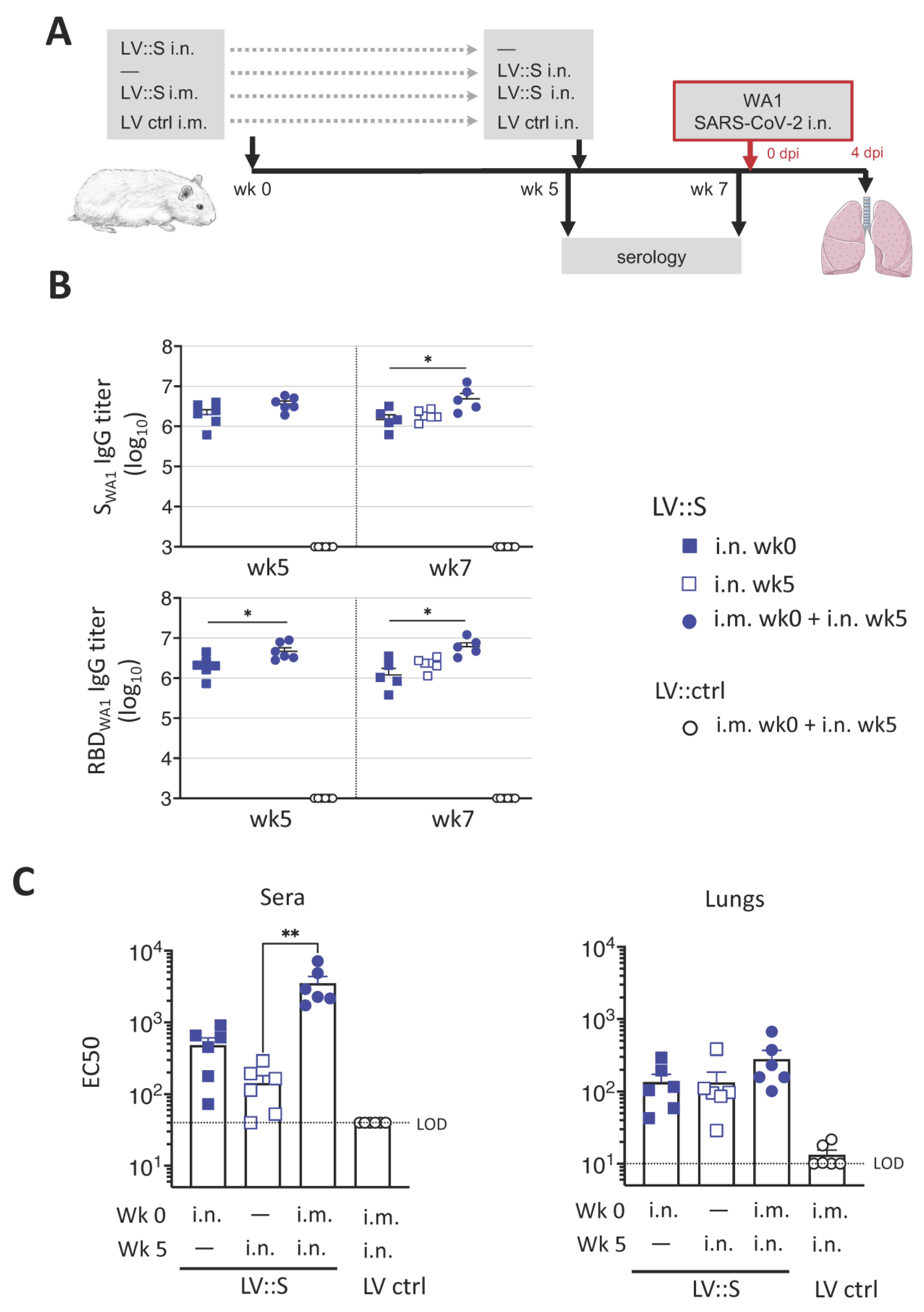 Vaccines 11 00012 g002