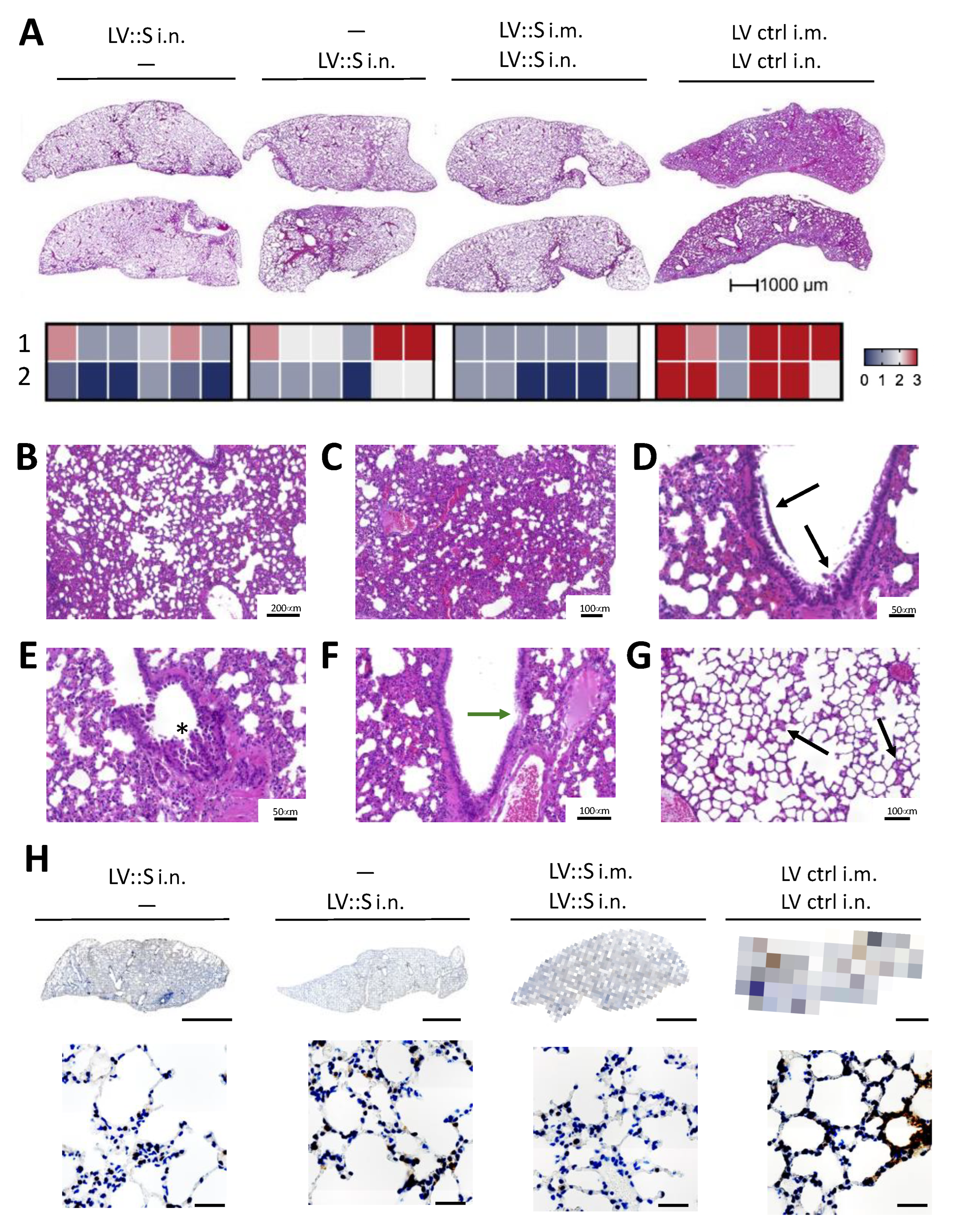 Vaccines 11 00012 g004