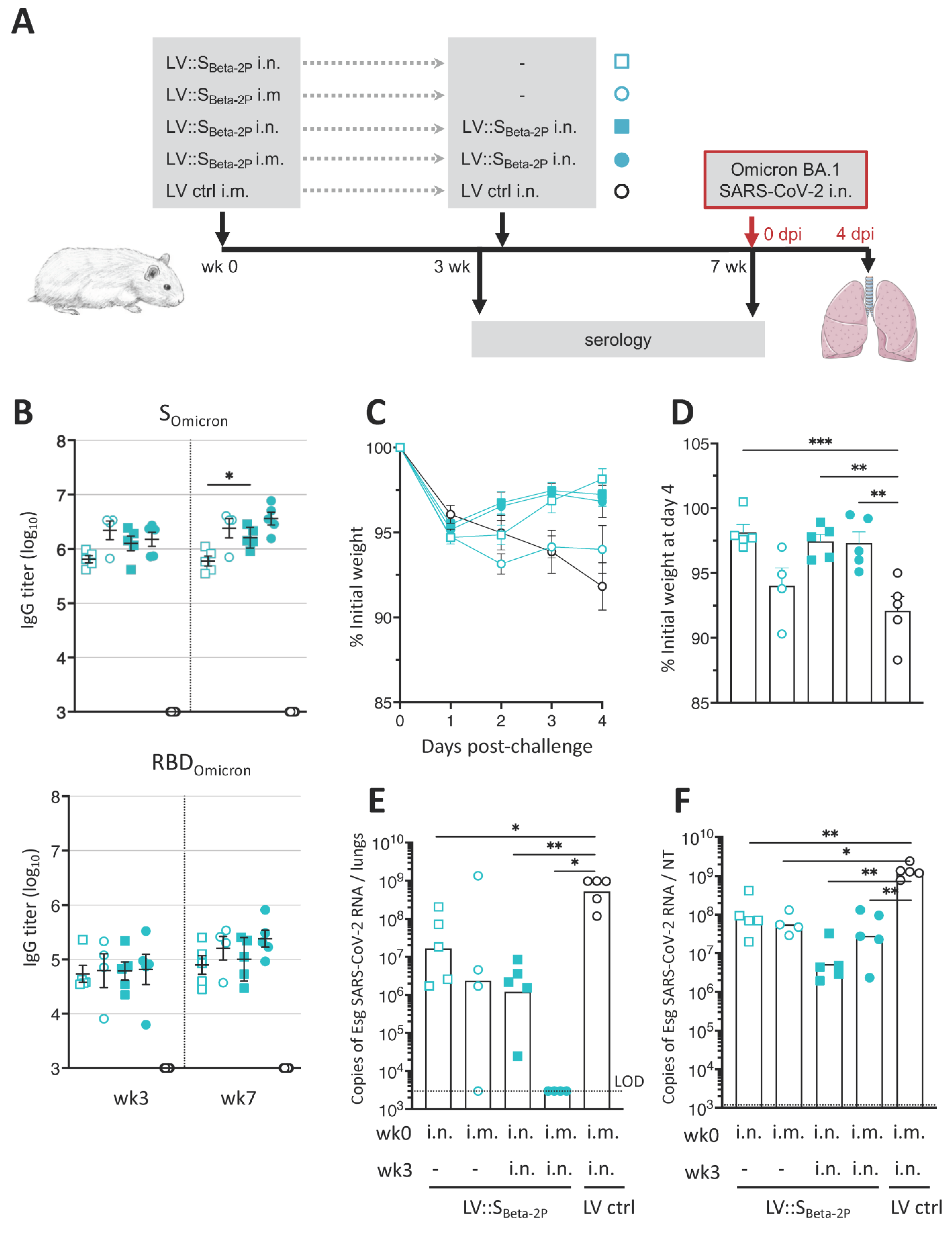 Vaccines 11 00012 g005