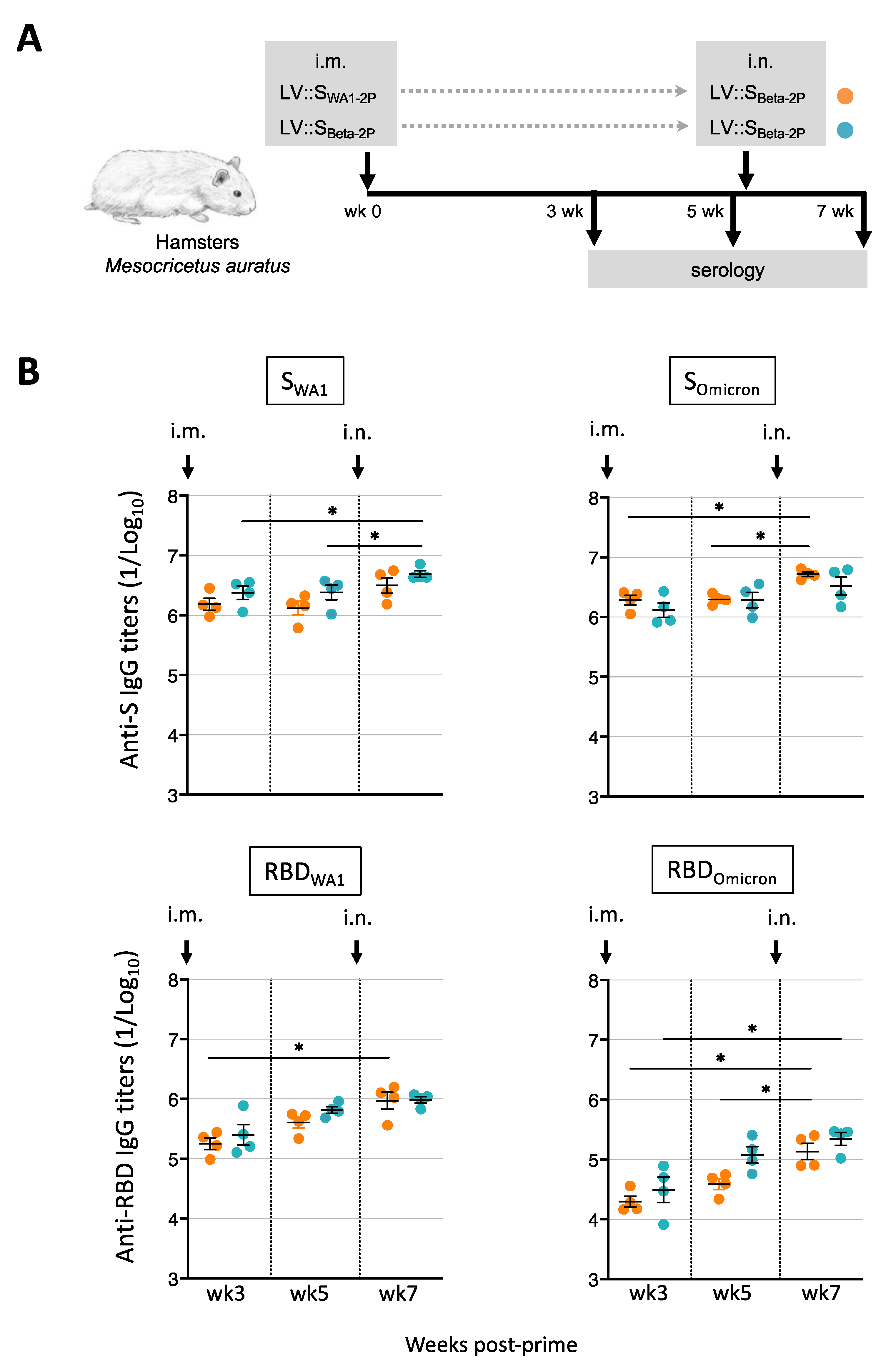 Vaccines 11 00012 g007
