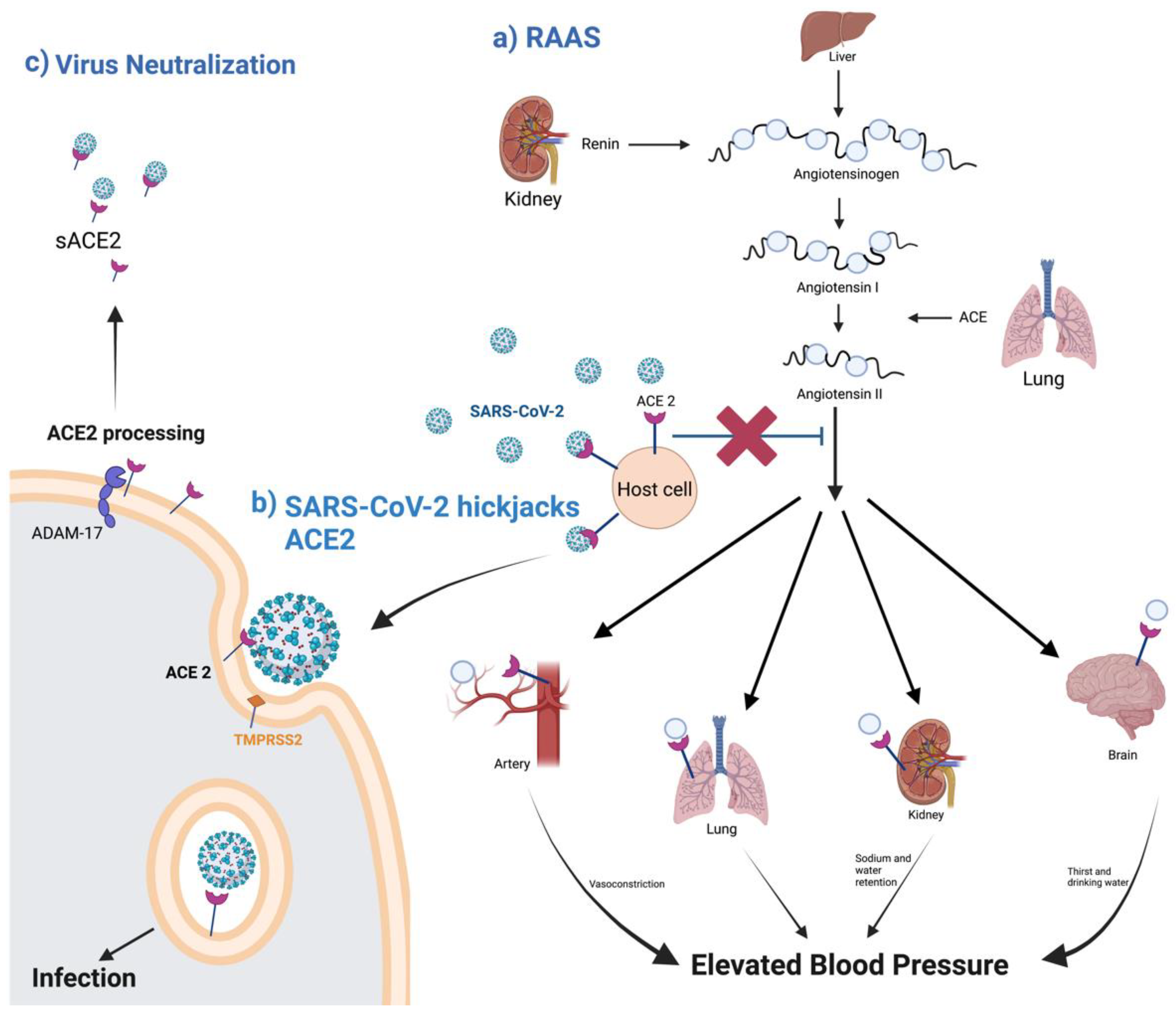 Vaccines 11 00013 g002
