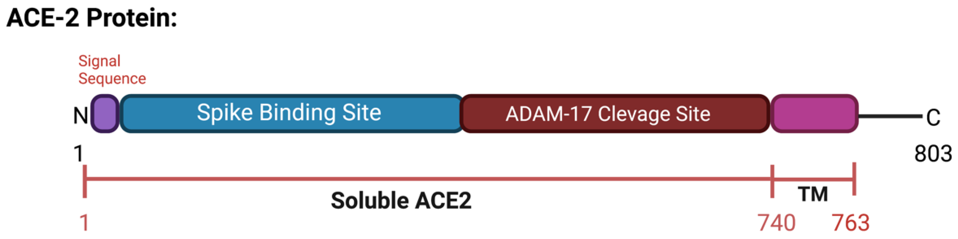 Vaccines 11 00013 g003