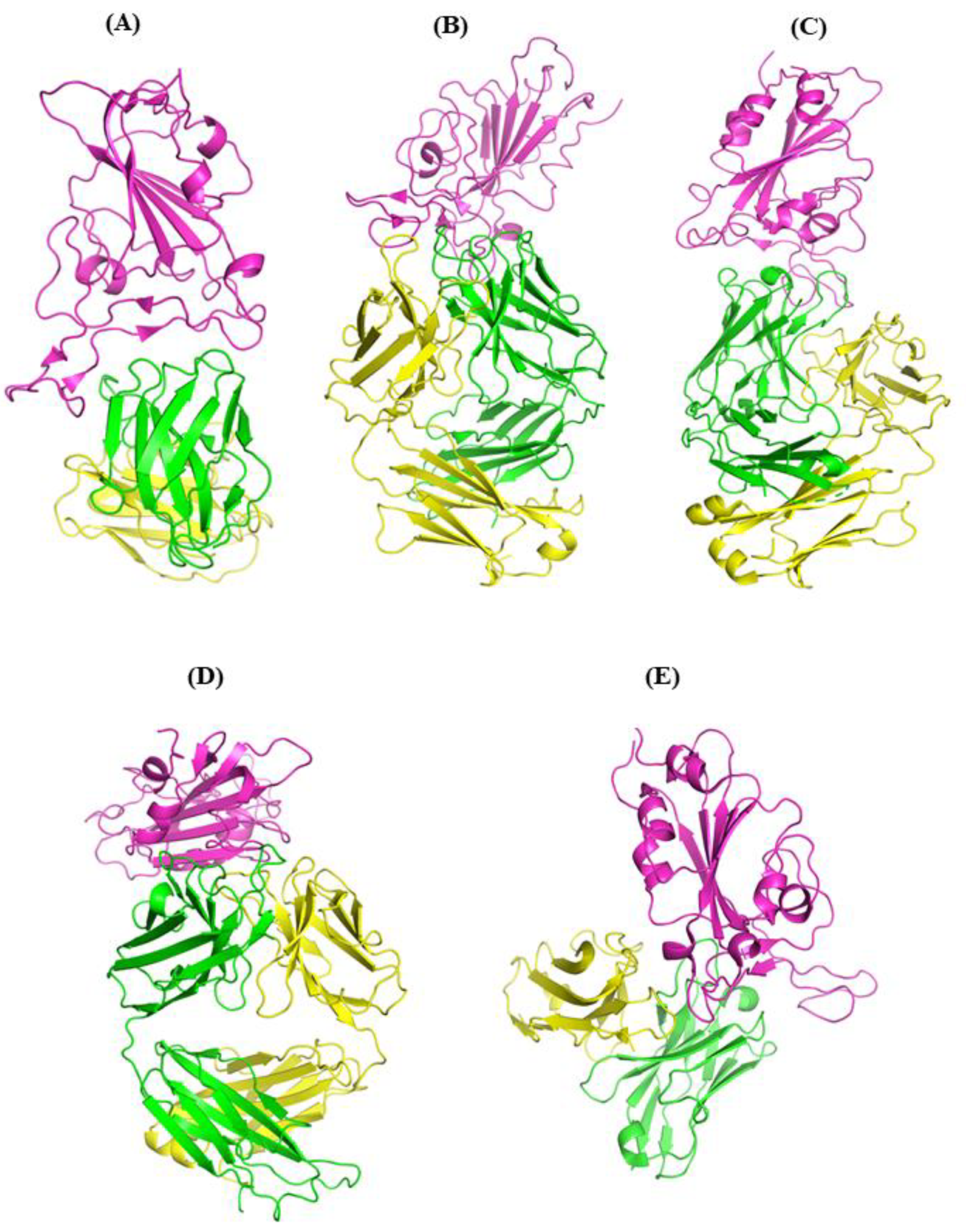 Vaccines 11 00023 g001