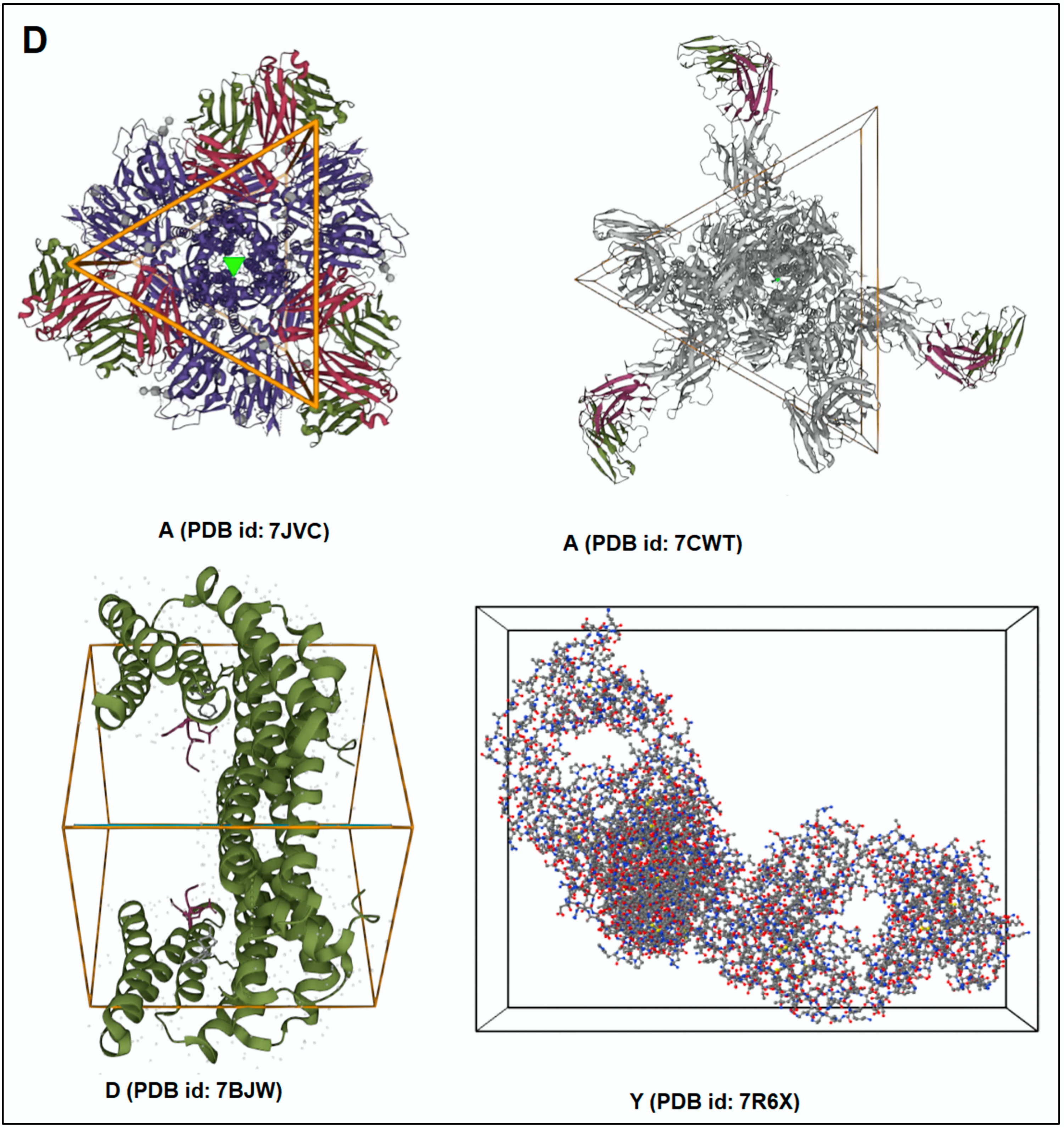 Vaccines 11 00038 g003c