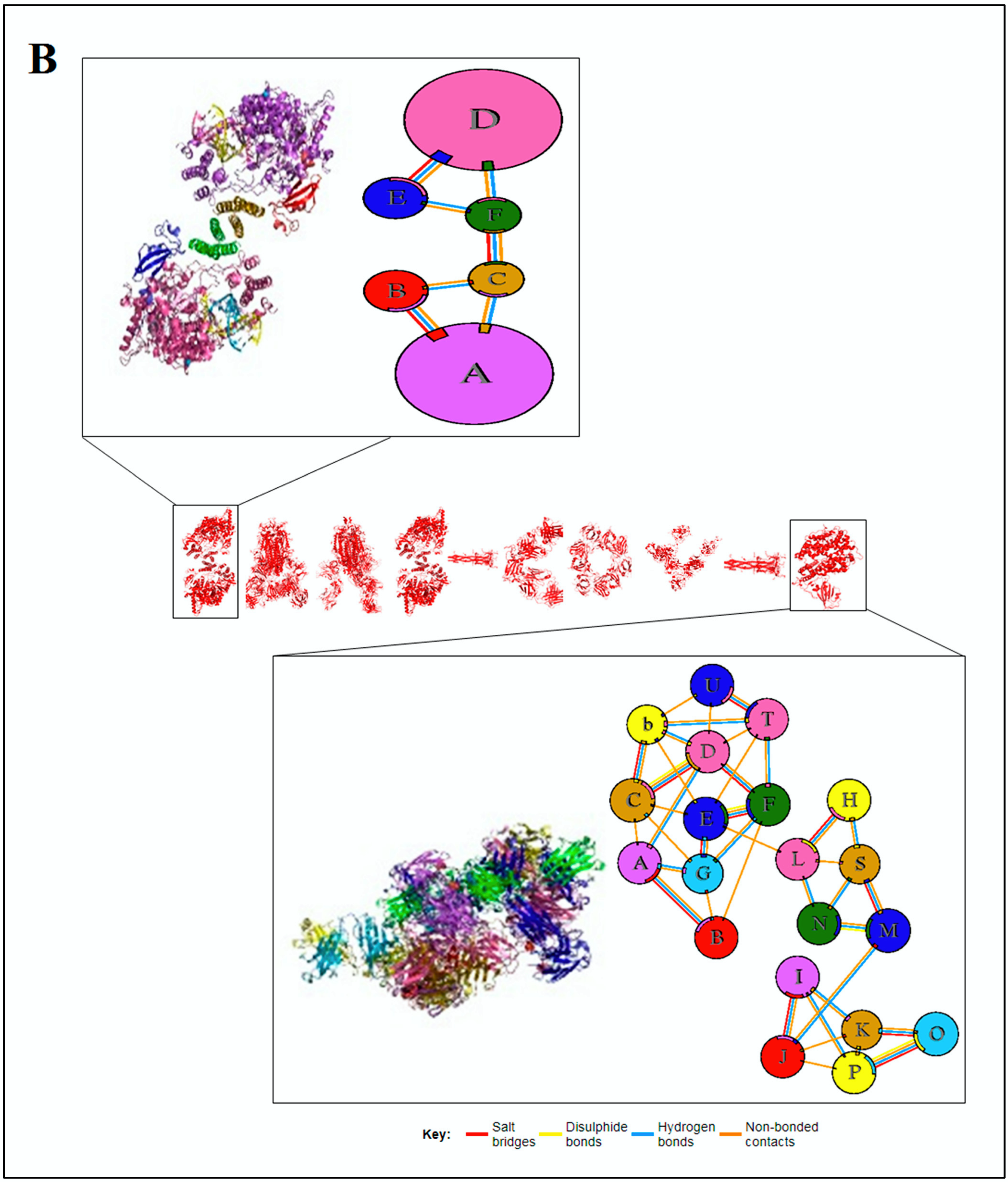 Vaccines 11 00038 g005b