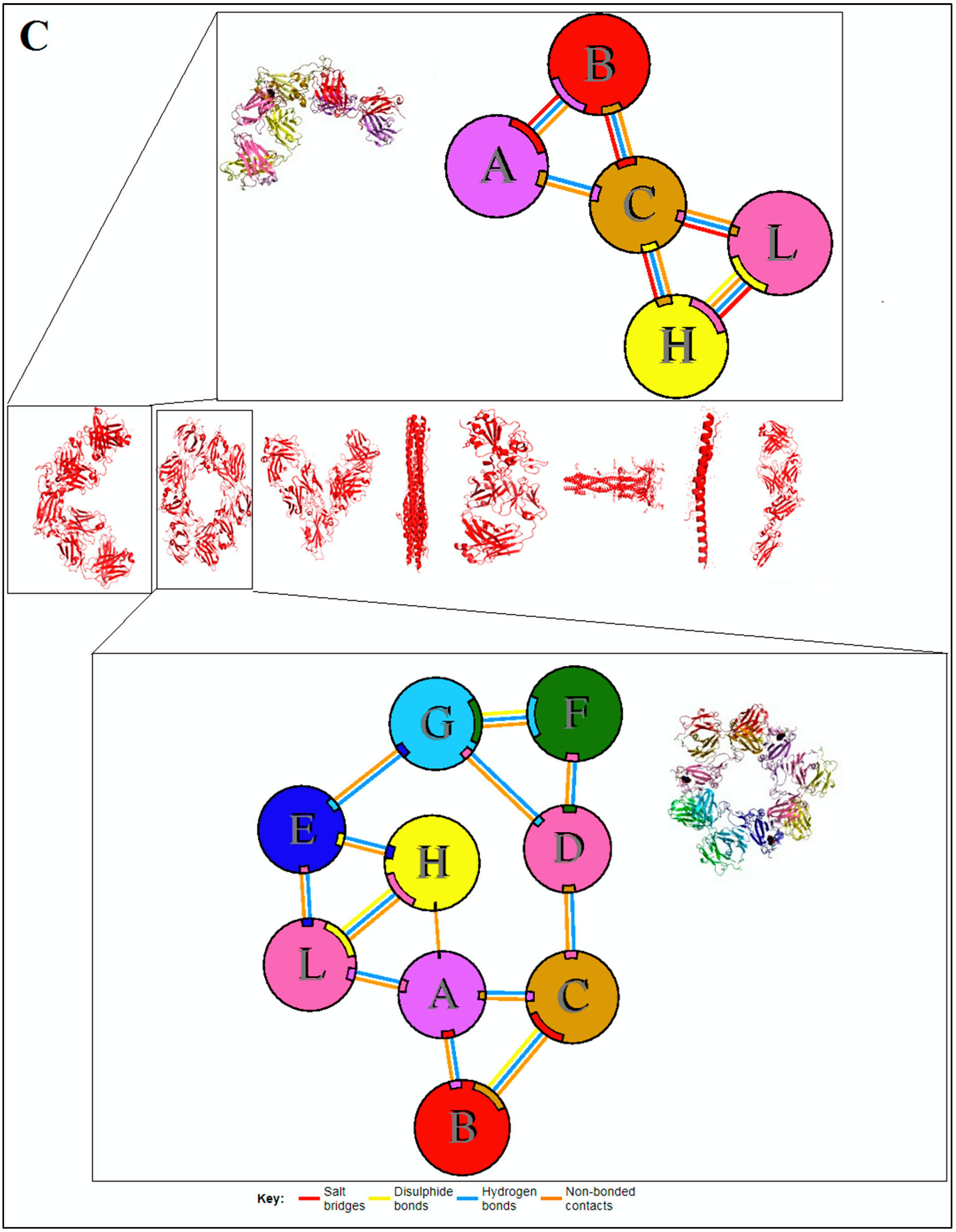 Vaccines 11 00038 g005c