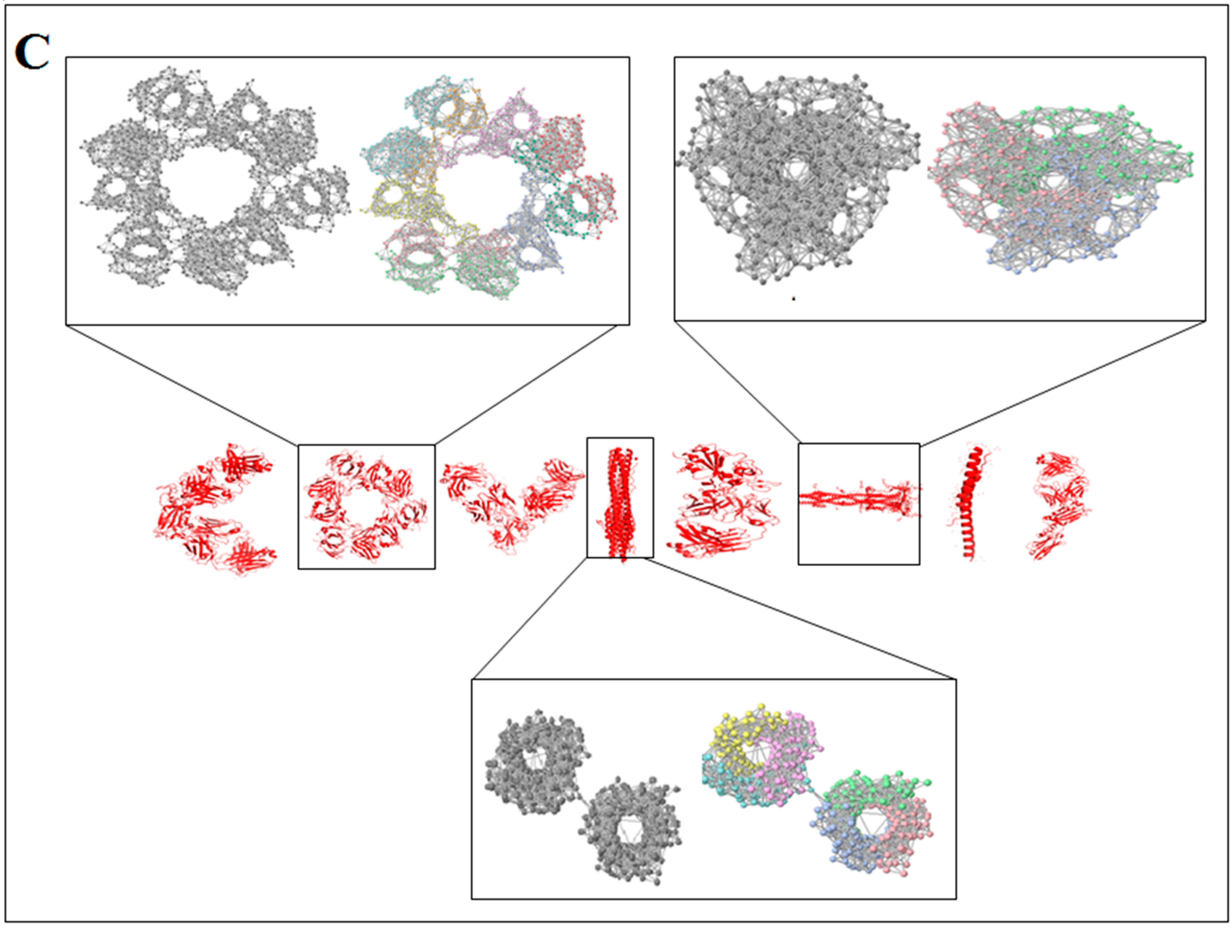 Vaccines 11 00038 g006b