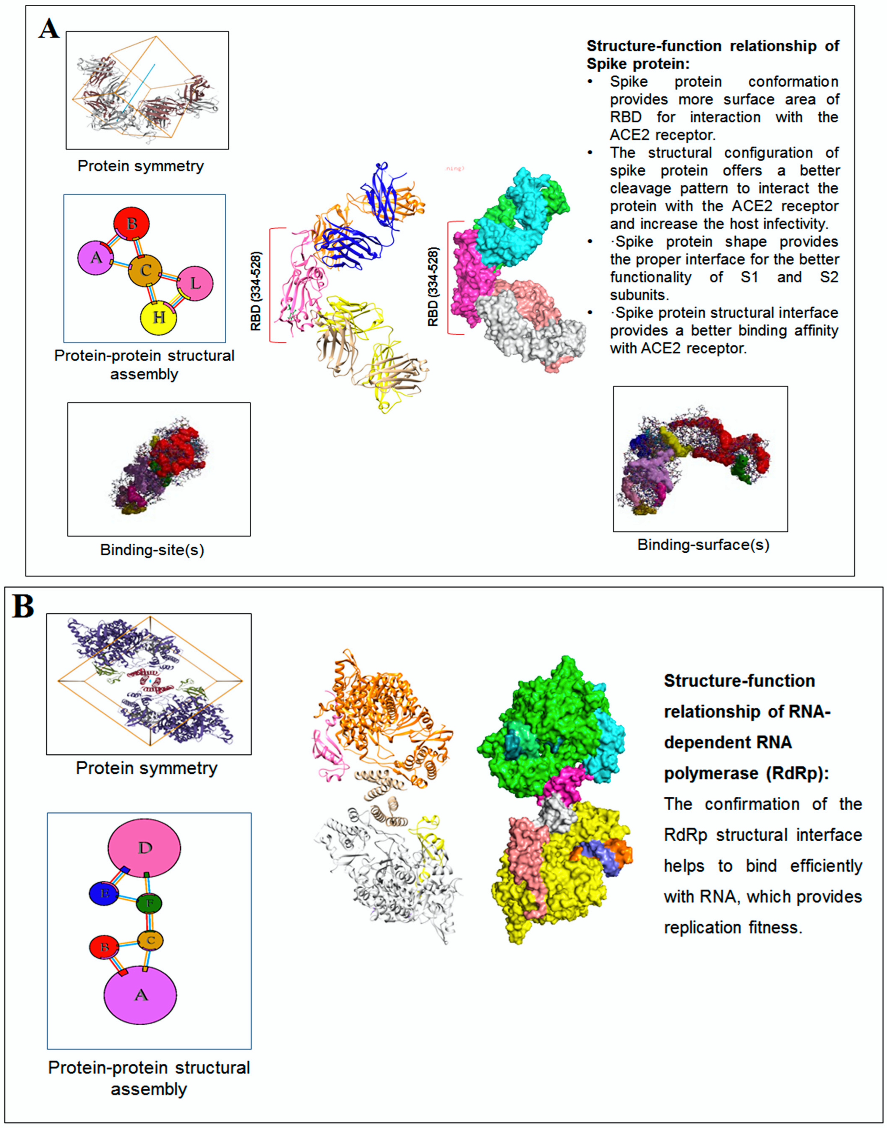 Vaccines 11 00038 g010a