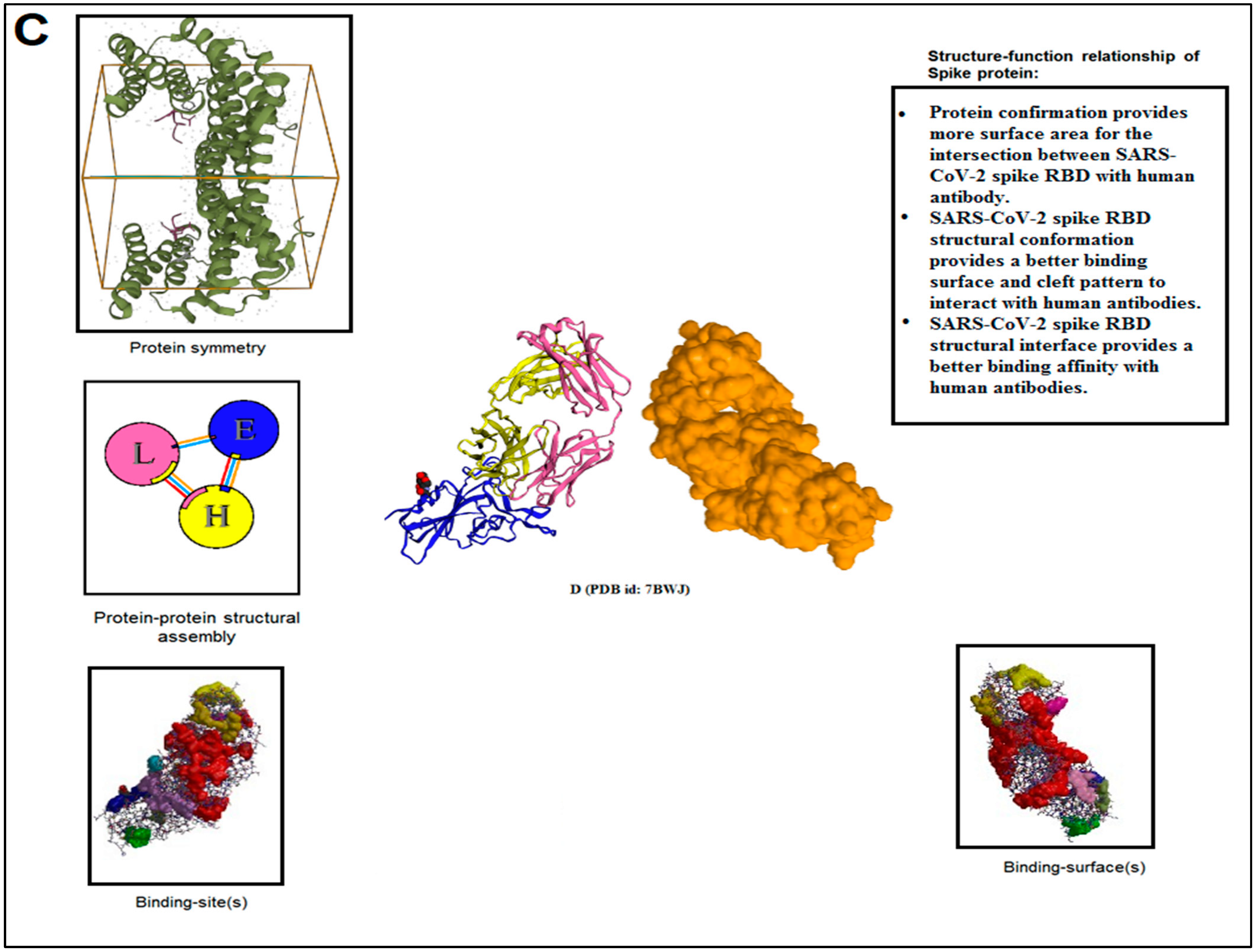 Vaccines 11 00038 g010b