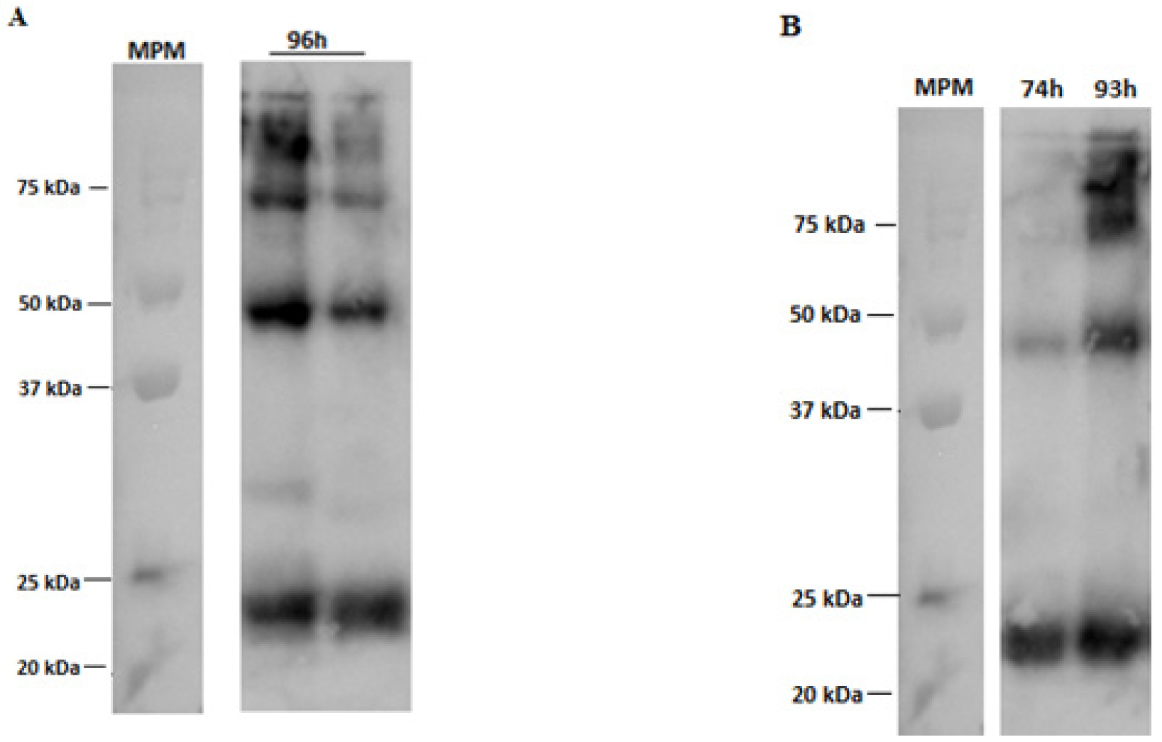 Vaccines 11 00039 g009