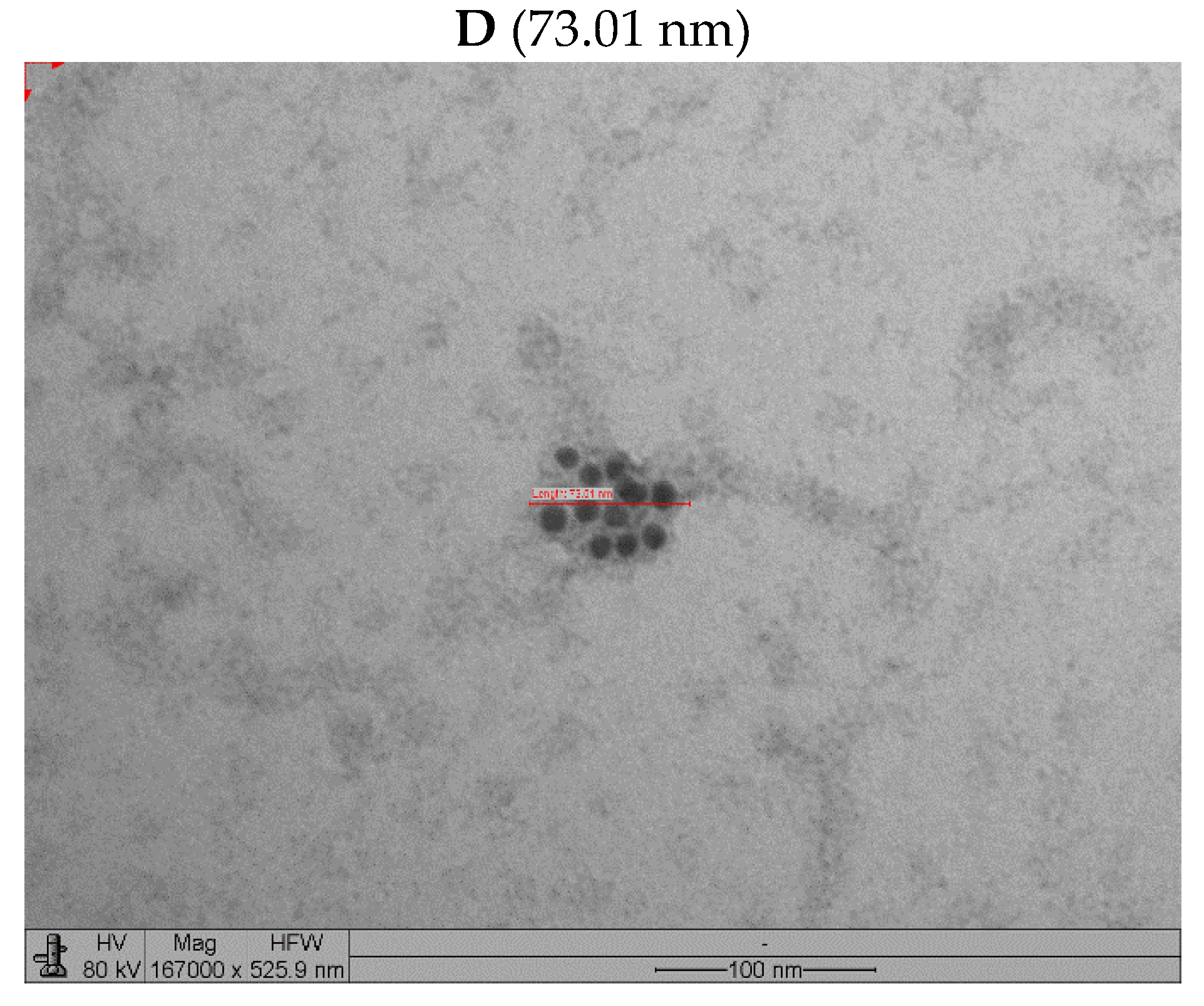 Vaccines 11 00039 g010b