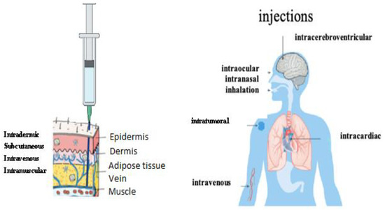 Vaccines 11 00040 g010