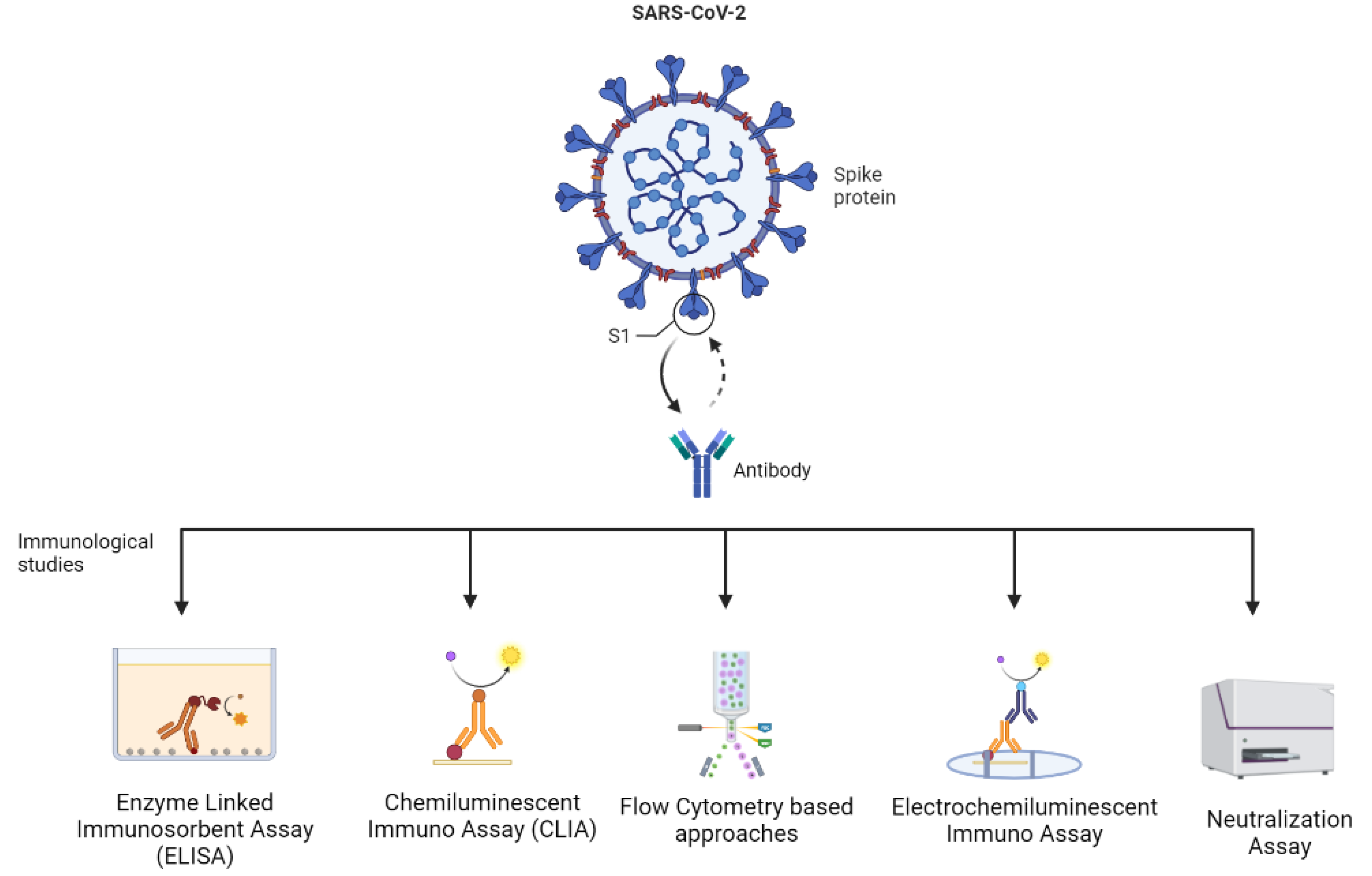Vaccines 11 00045 g002