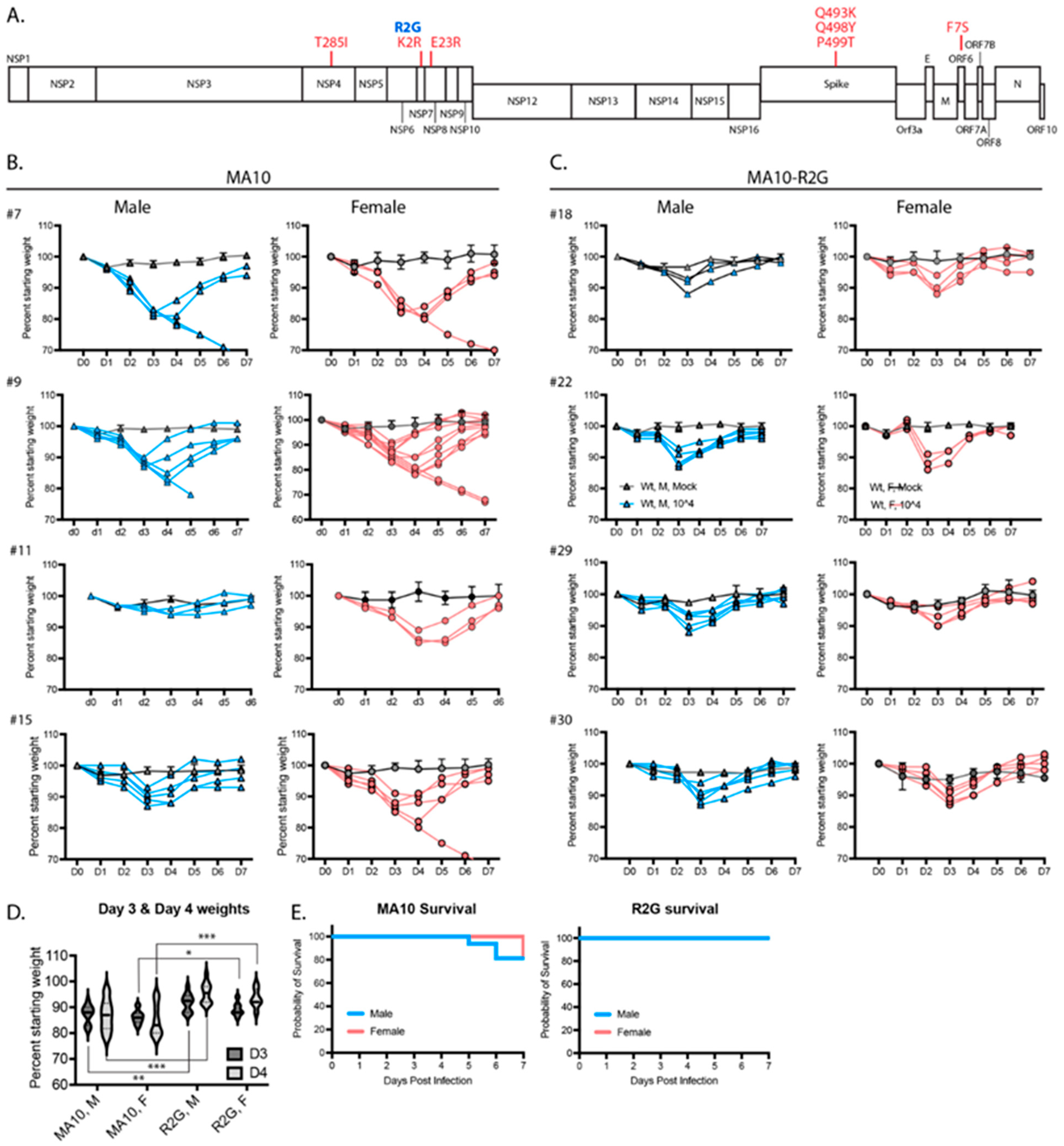 Vaccines 11 00047 g002 Vaccines 11 00047 g002