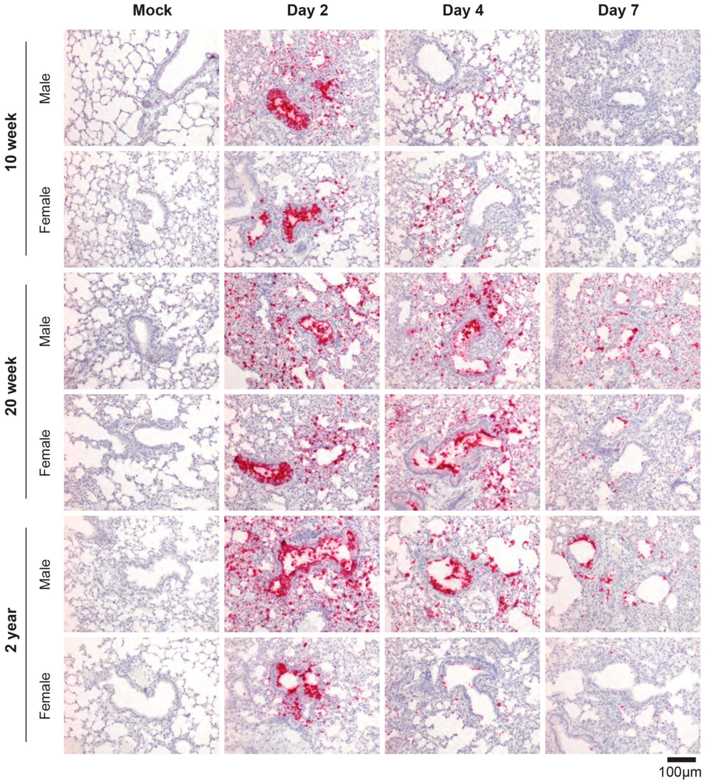 Vaccines 11 00047 g005 Vaccines 11 00047 g005