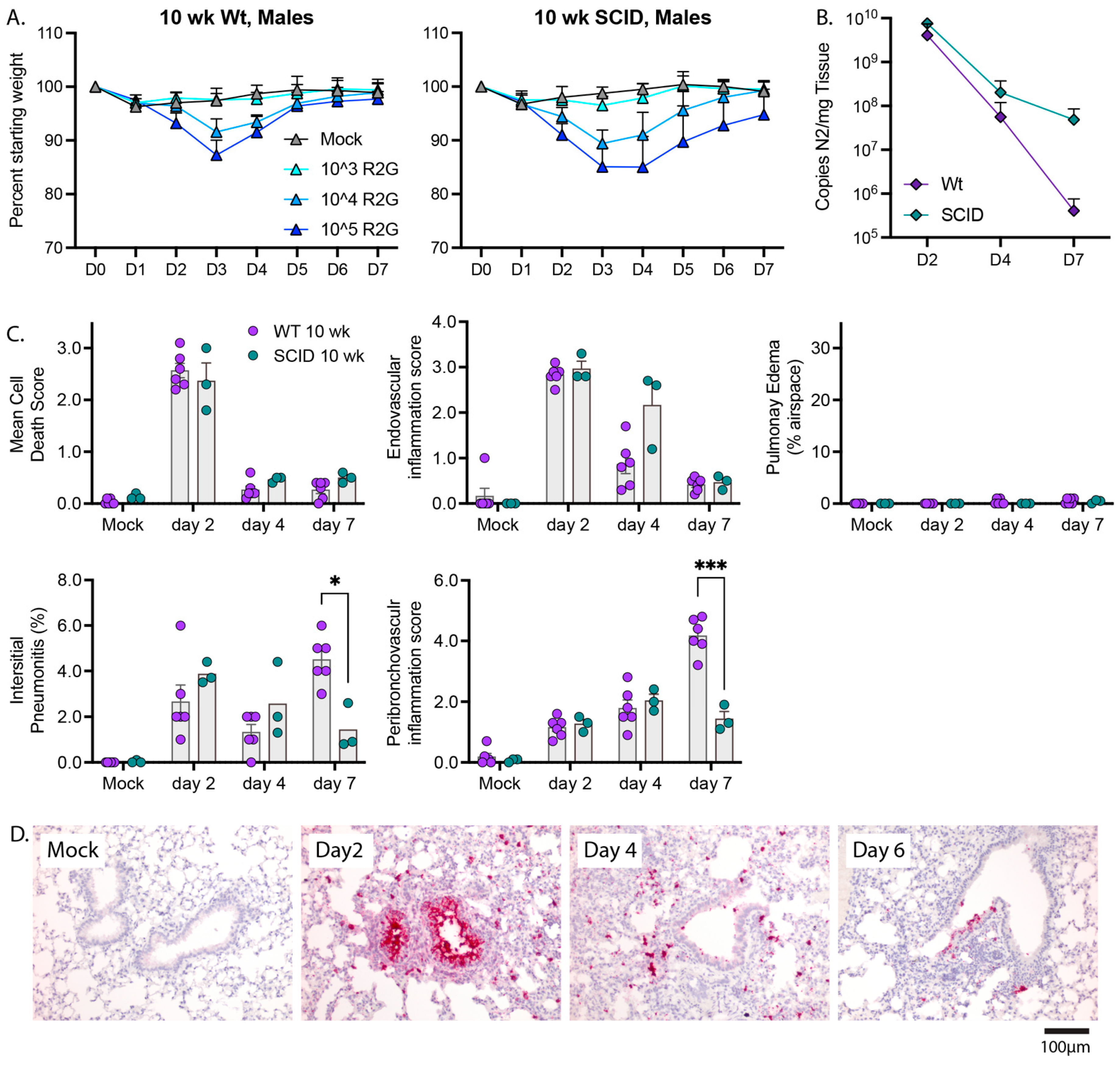 Vaccines 11 00047 g007 Vaccines 11 00047 g007
