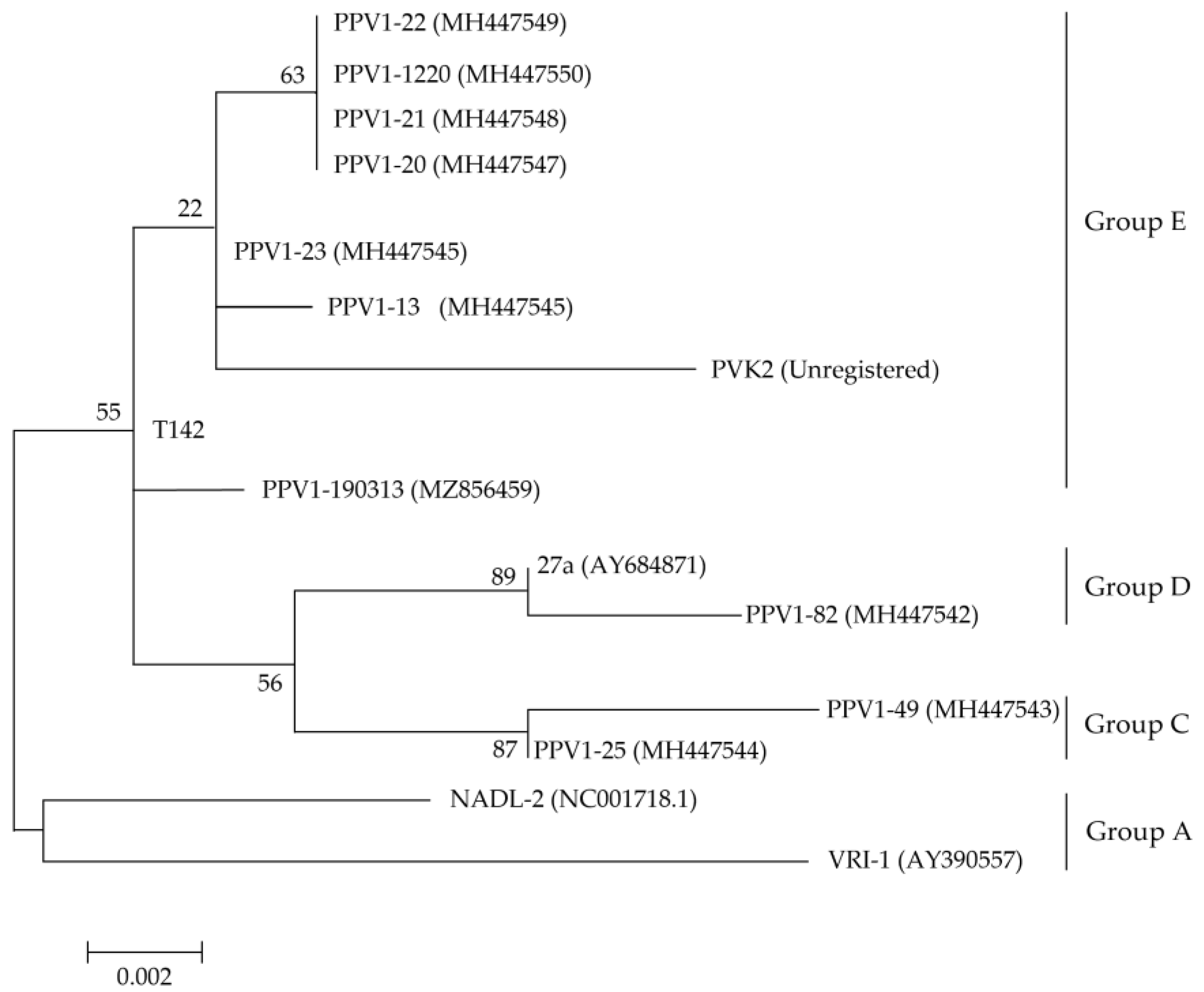 Vaccines 11 00054 g001
