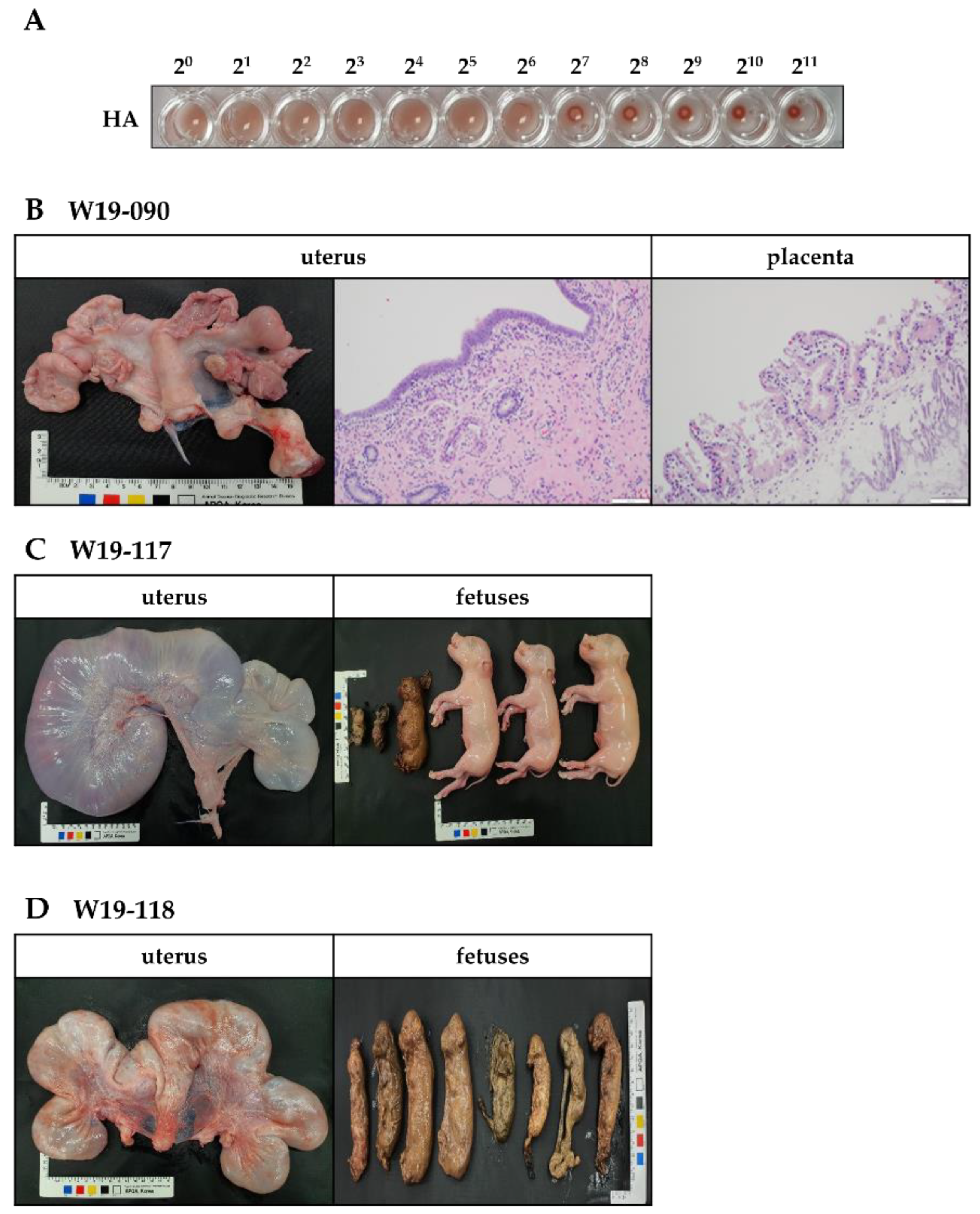 Vaccines 11 00054 g003