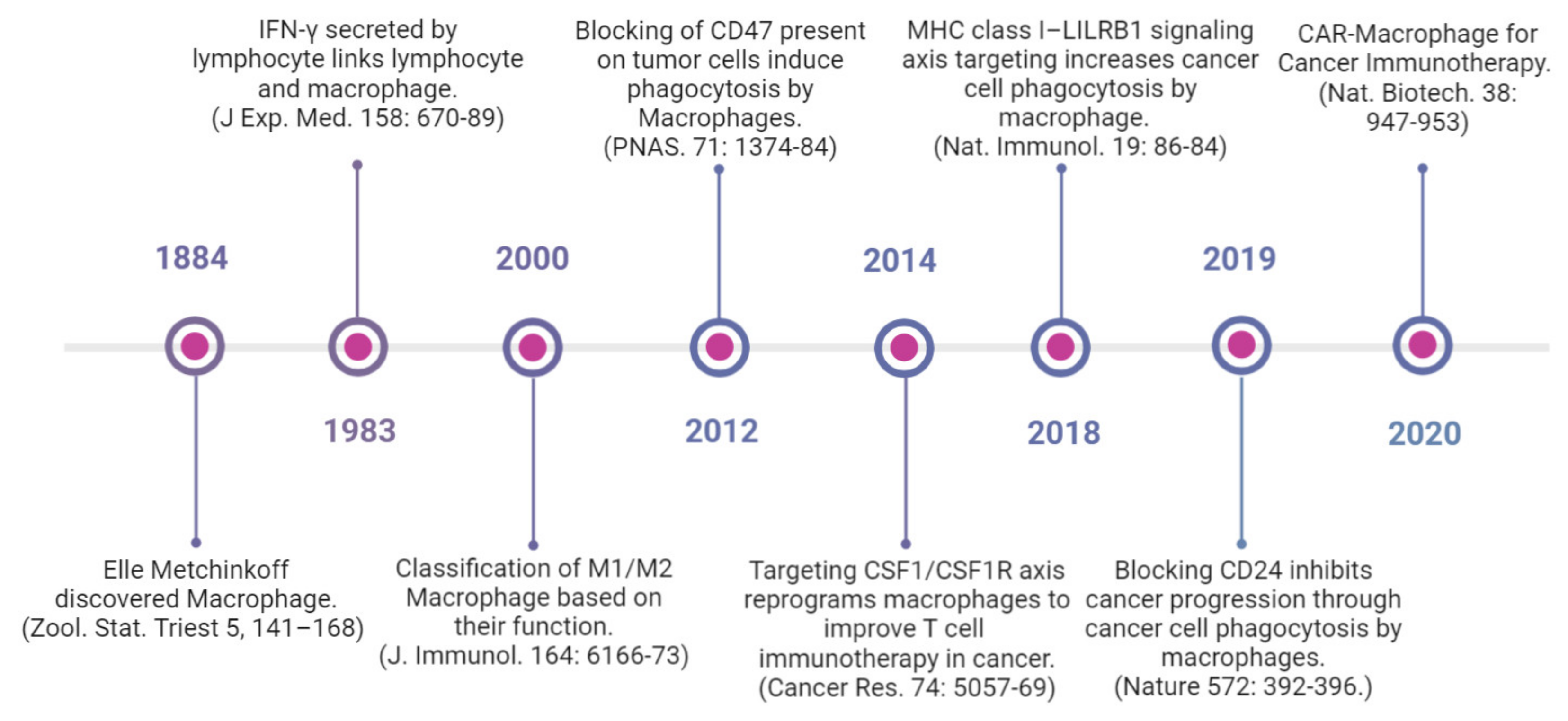 Vaccines 11 00055 g003