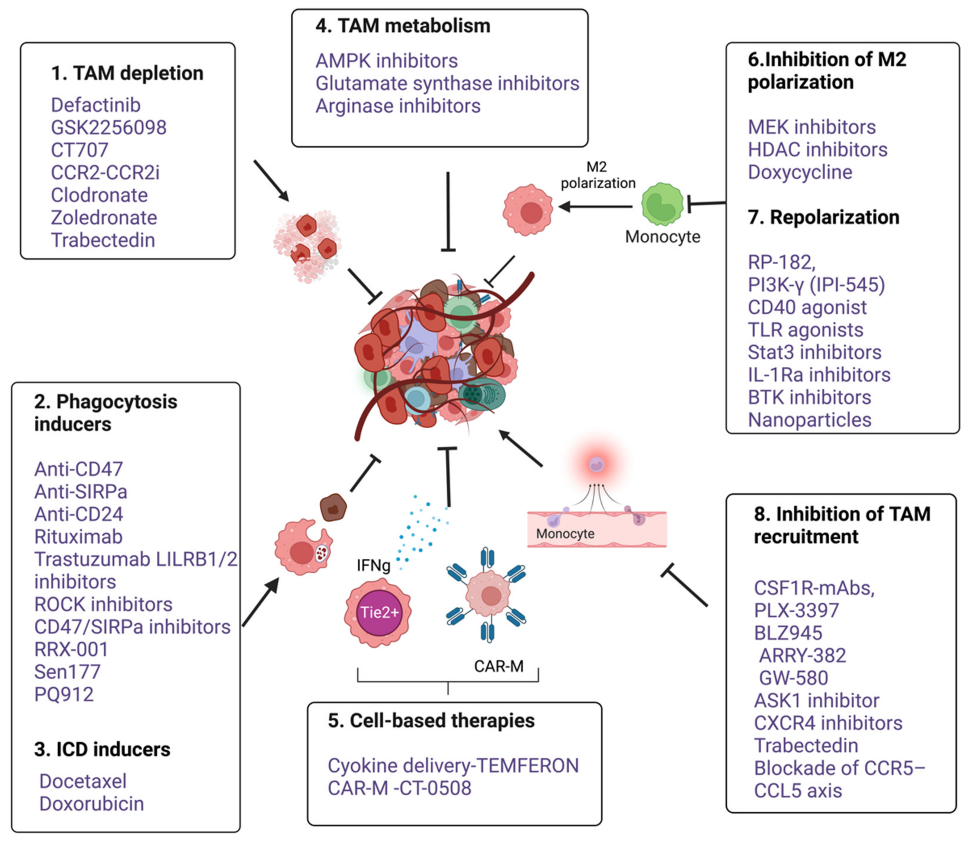 Vaccines 11 00055 g004