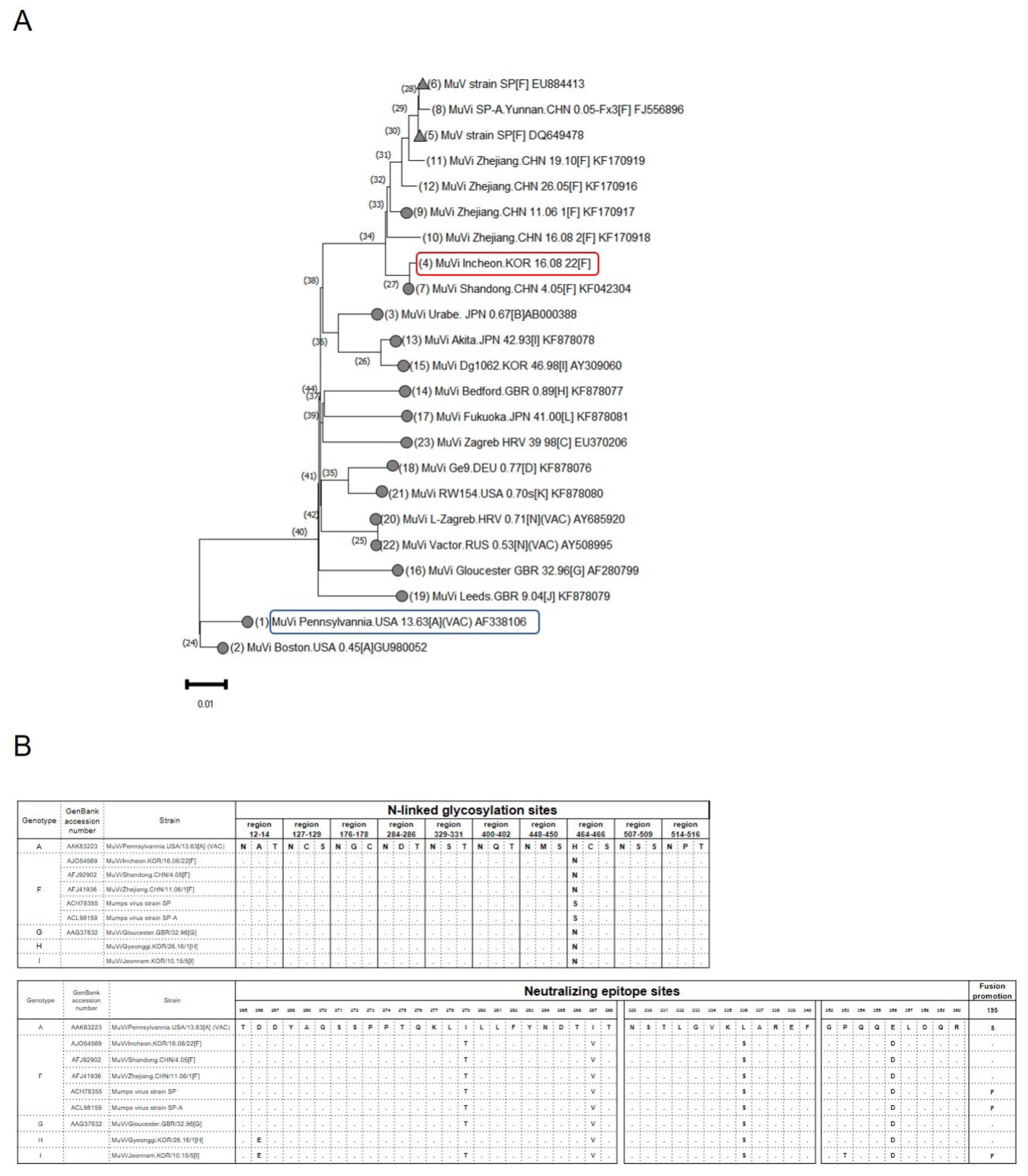 Vaccines 11 00106 g004