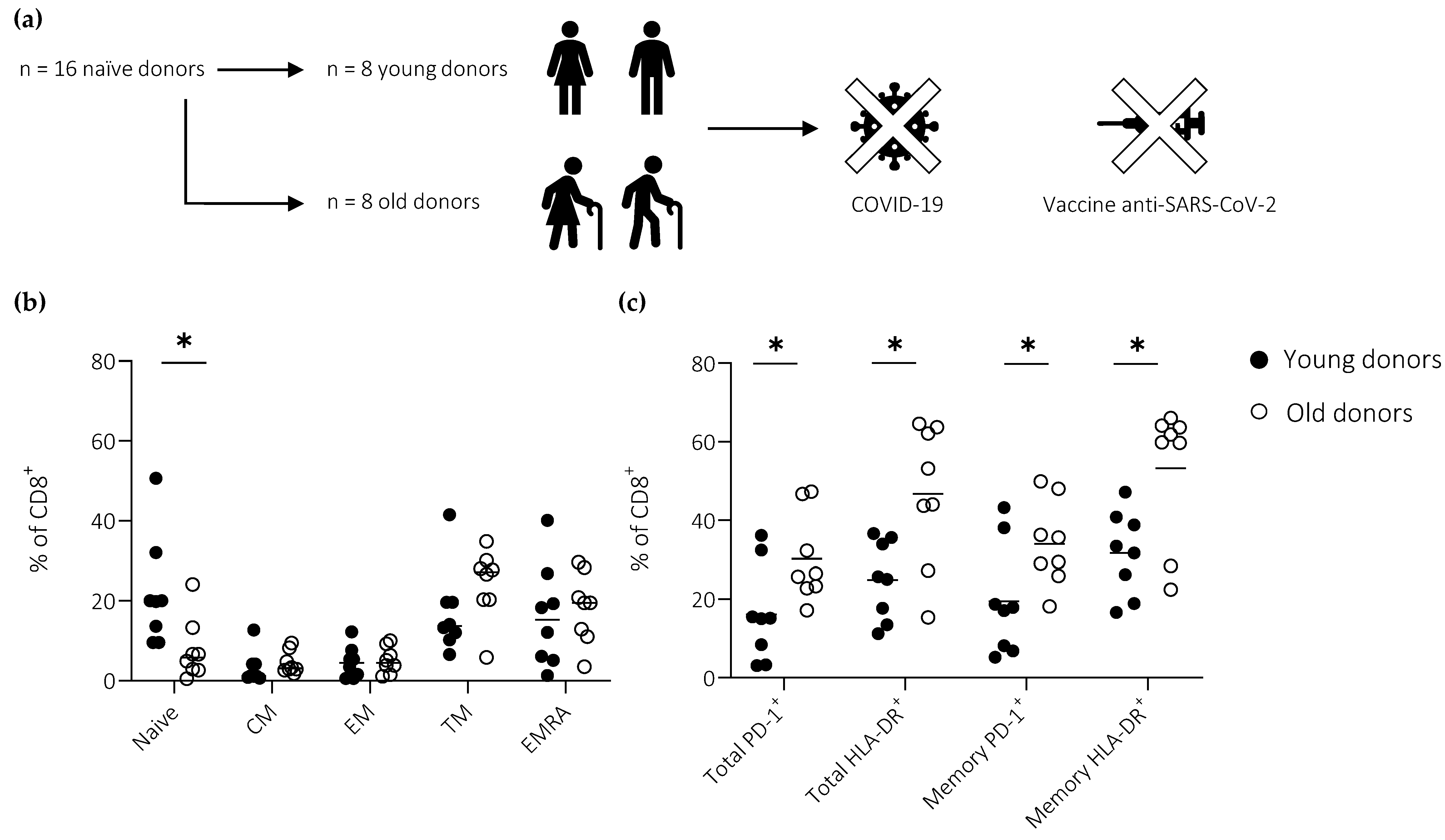 Vaccines 11 00154 g001