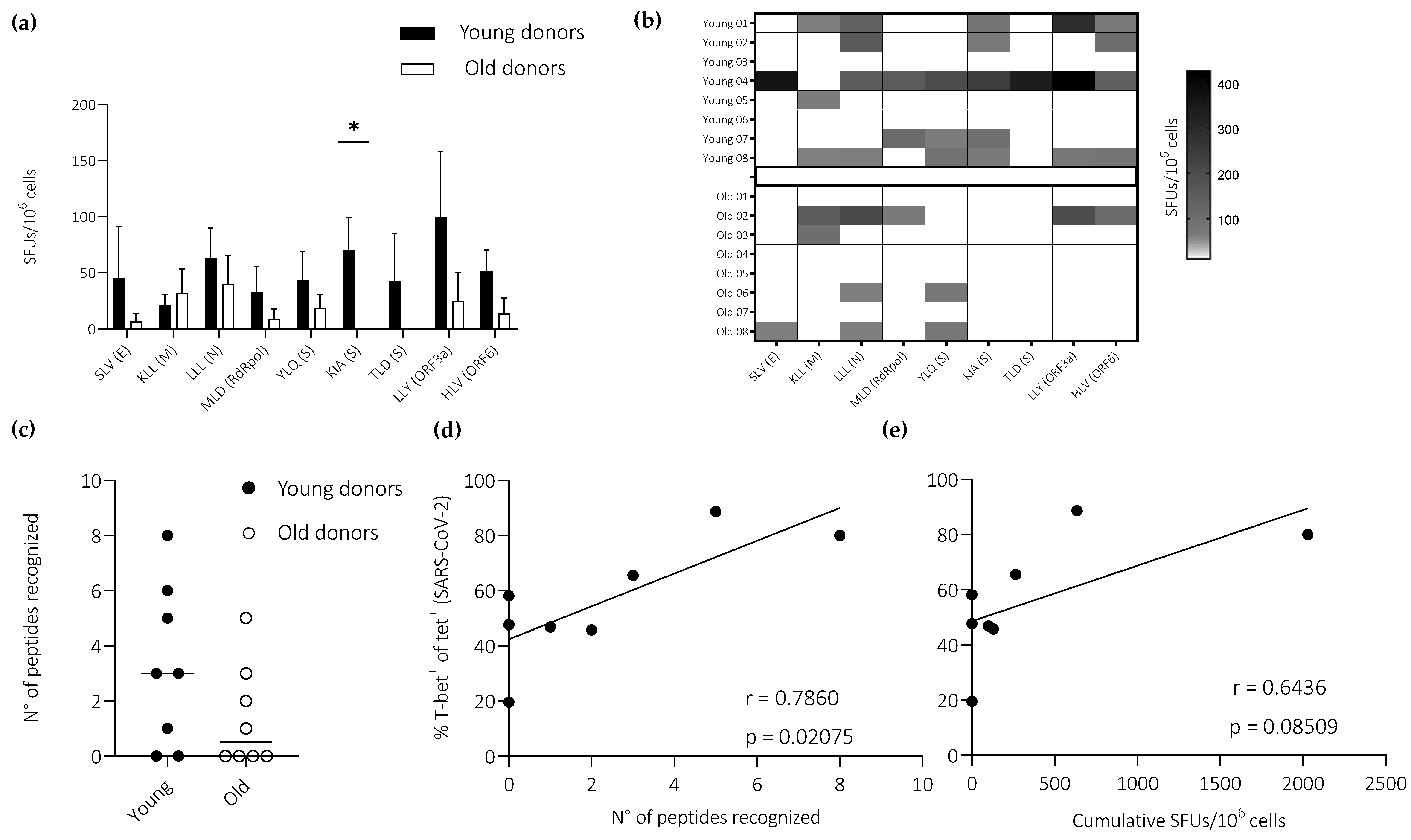 Vaccines 11 00154 g004