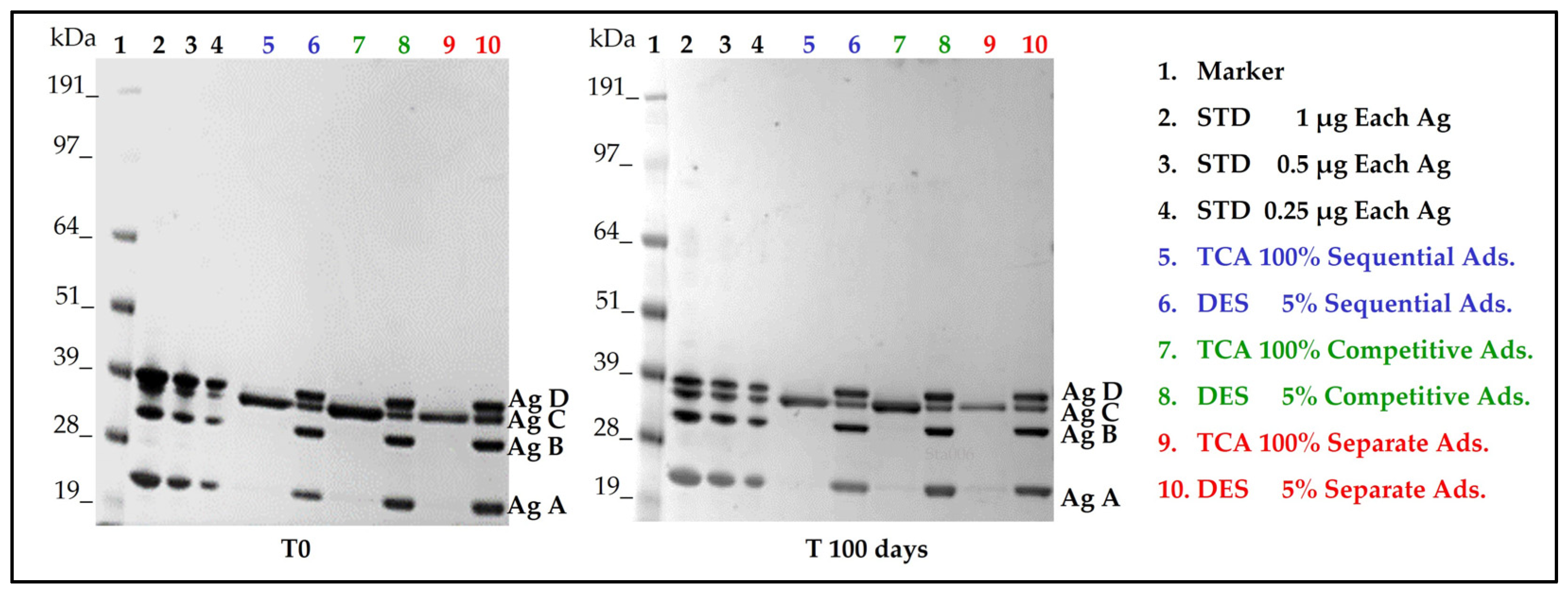 Vaccines 11 00155 g004
