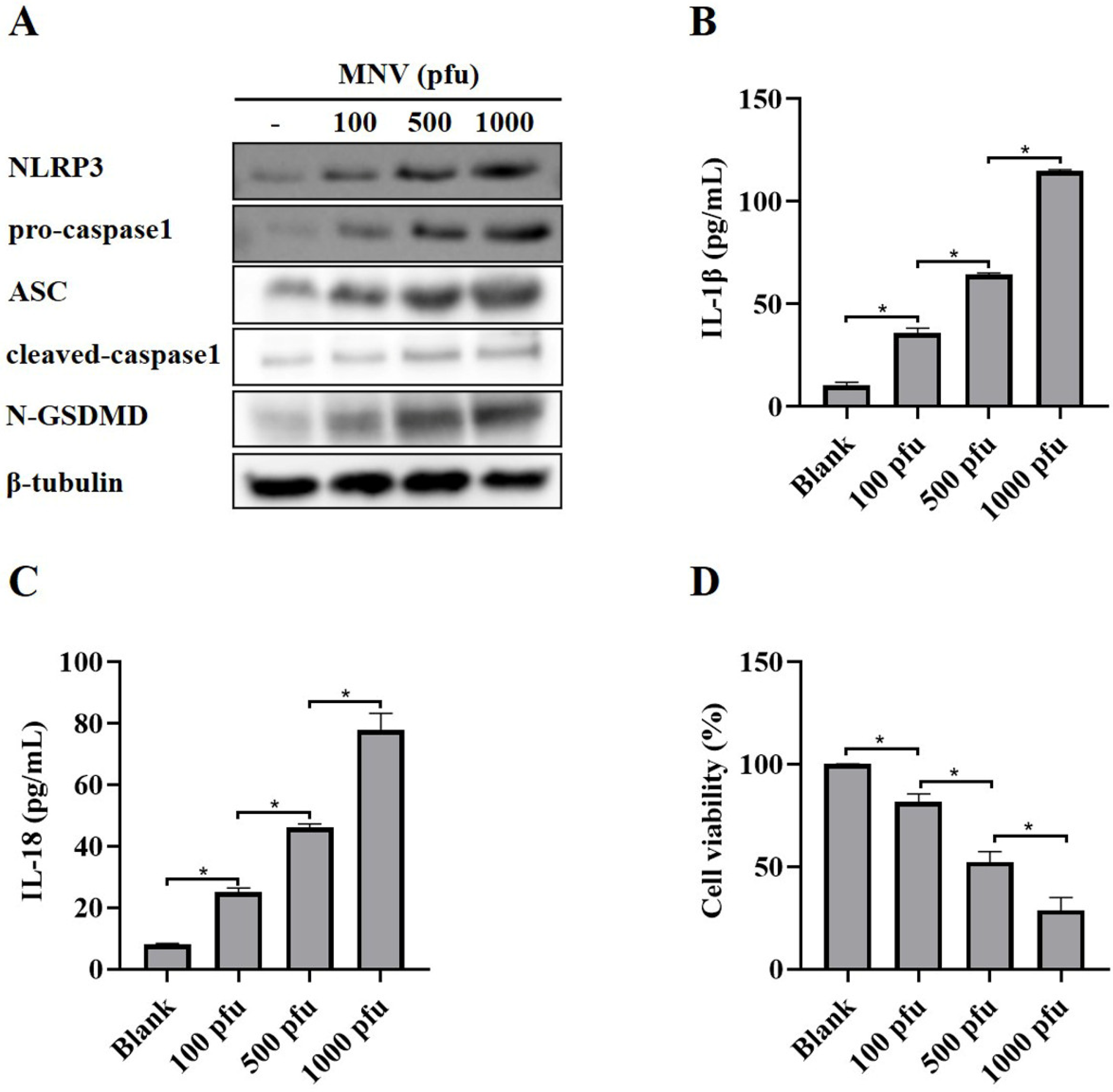 Vaccines 11 00164 g001