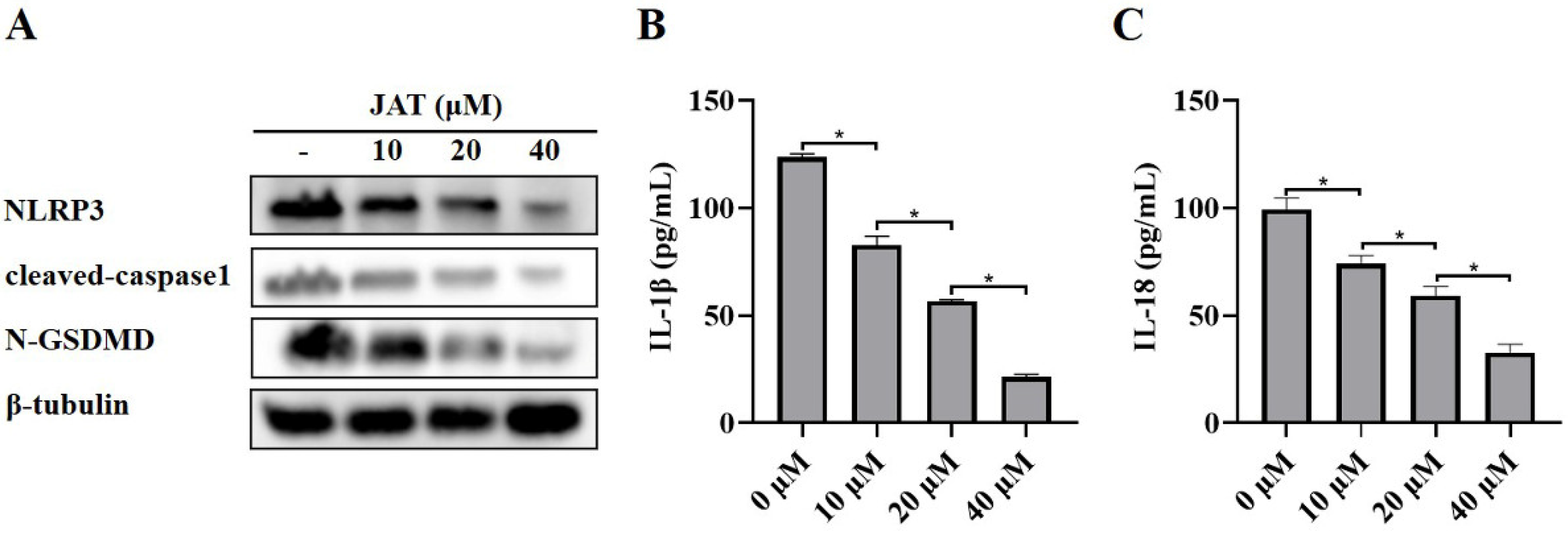 Vaccines 11 00164 g003