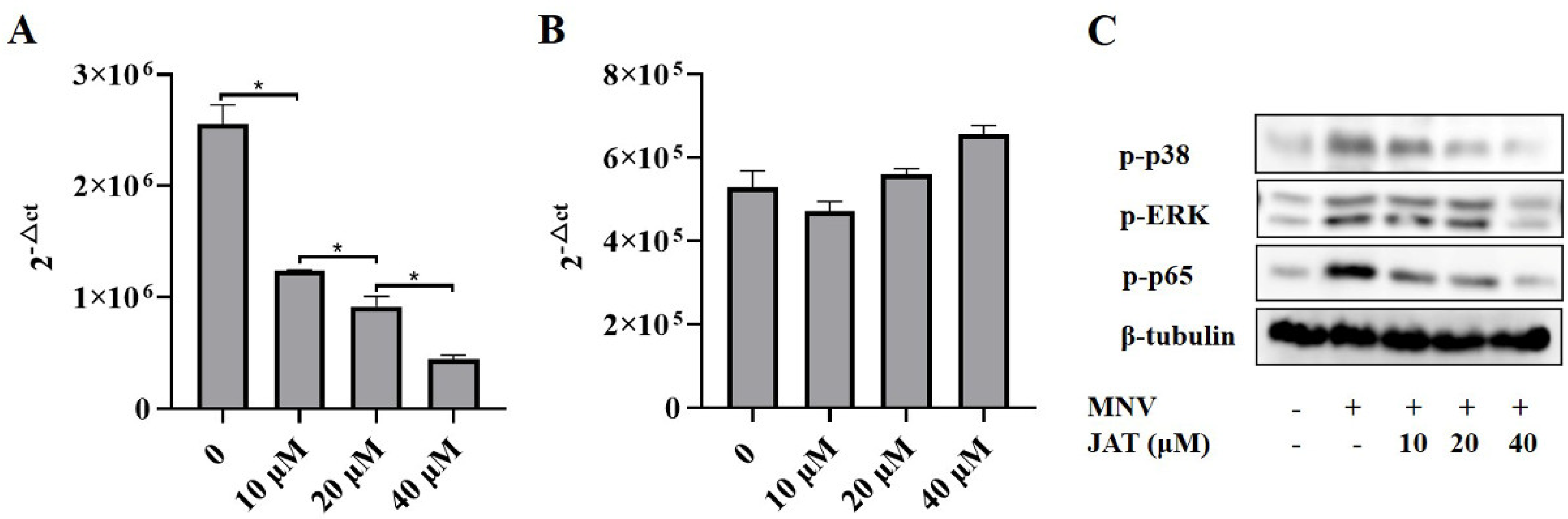 Vaccines 11 00164 g005