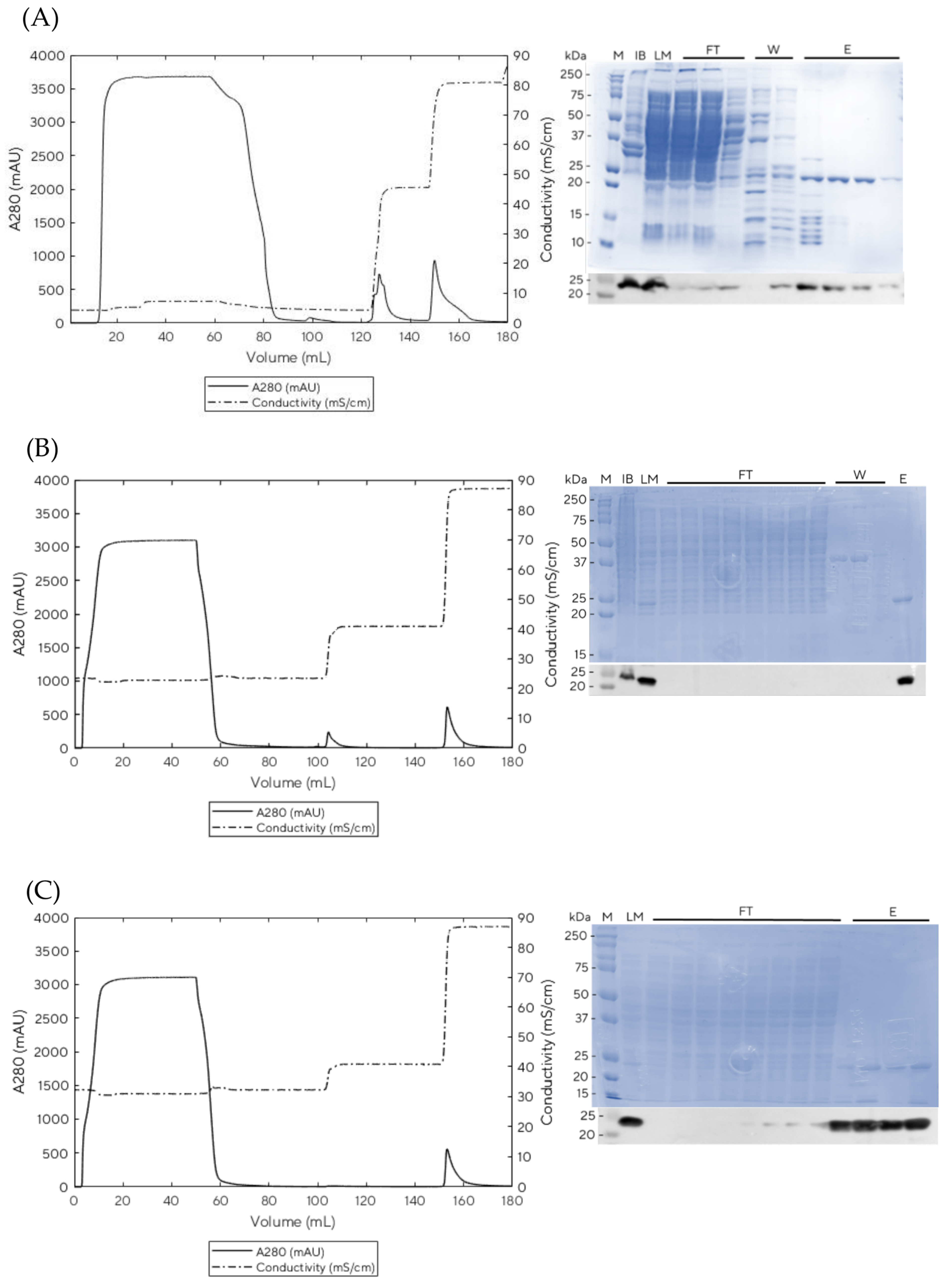 Vaccines 11 00169 g003