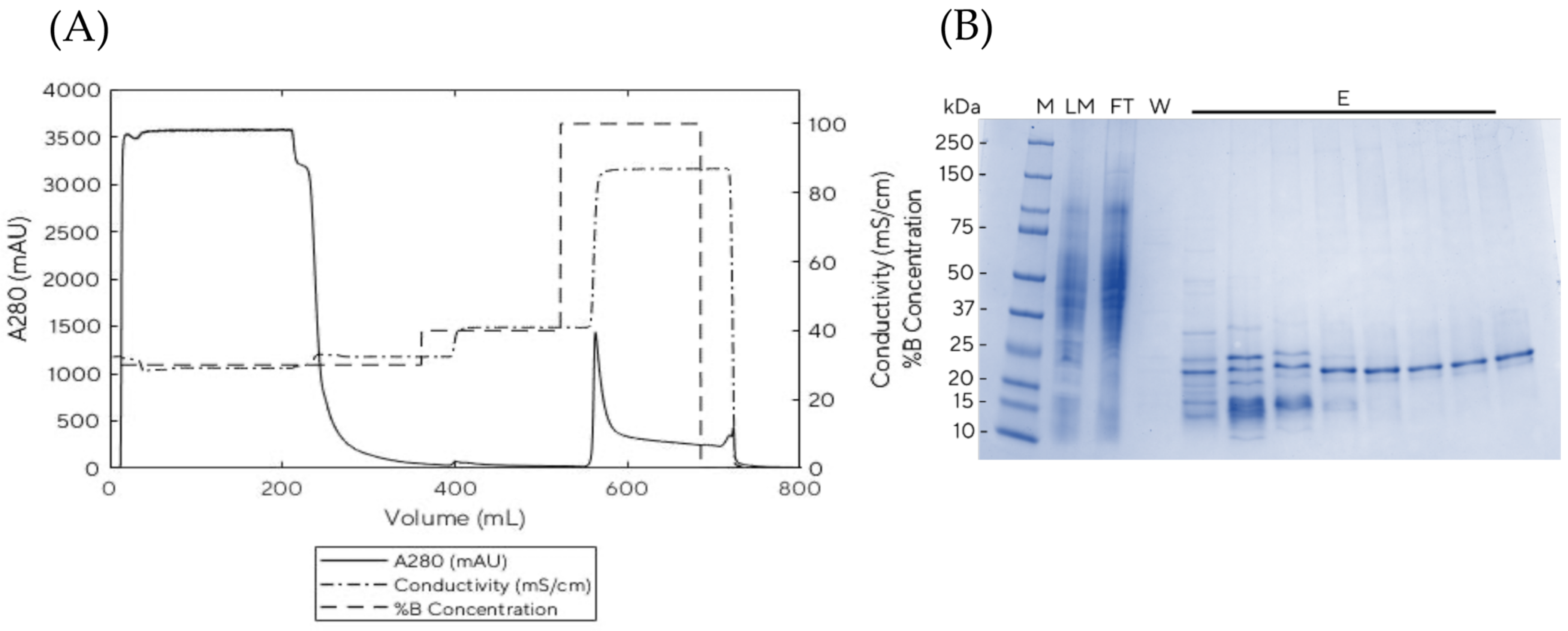 Vaccines 11 00169 g004