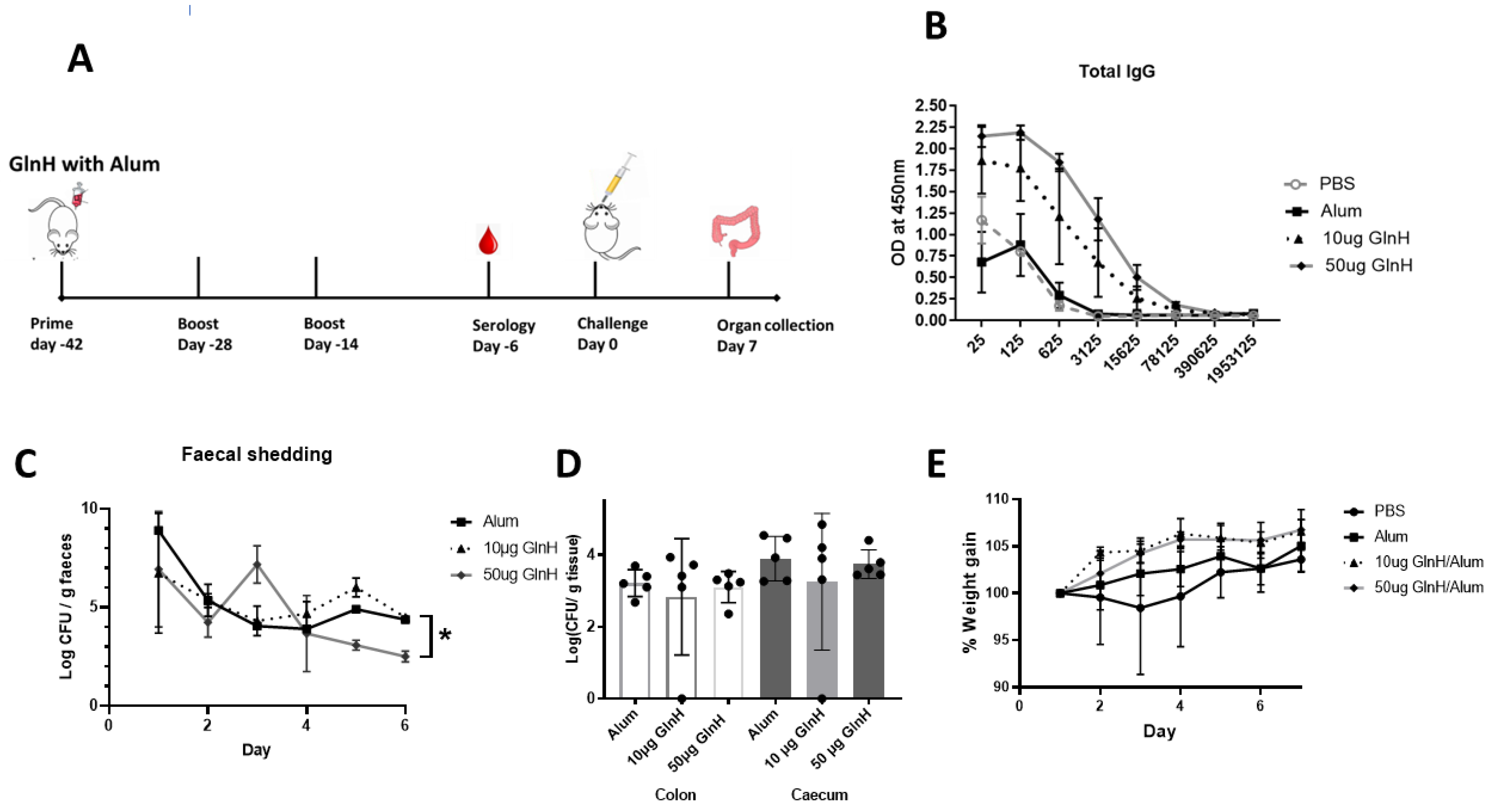 Vaccines 11 00175 g004