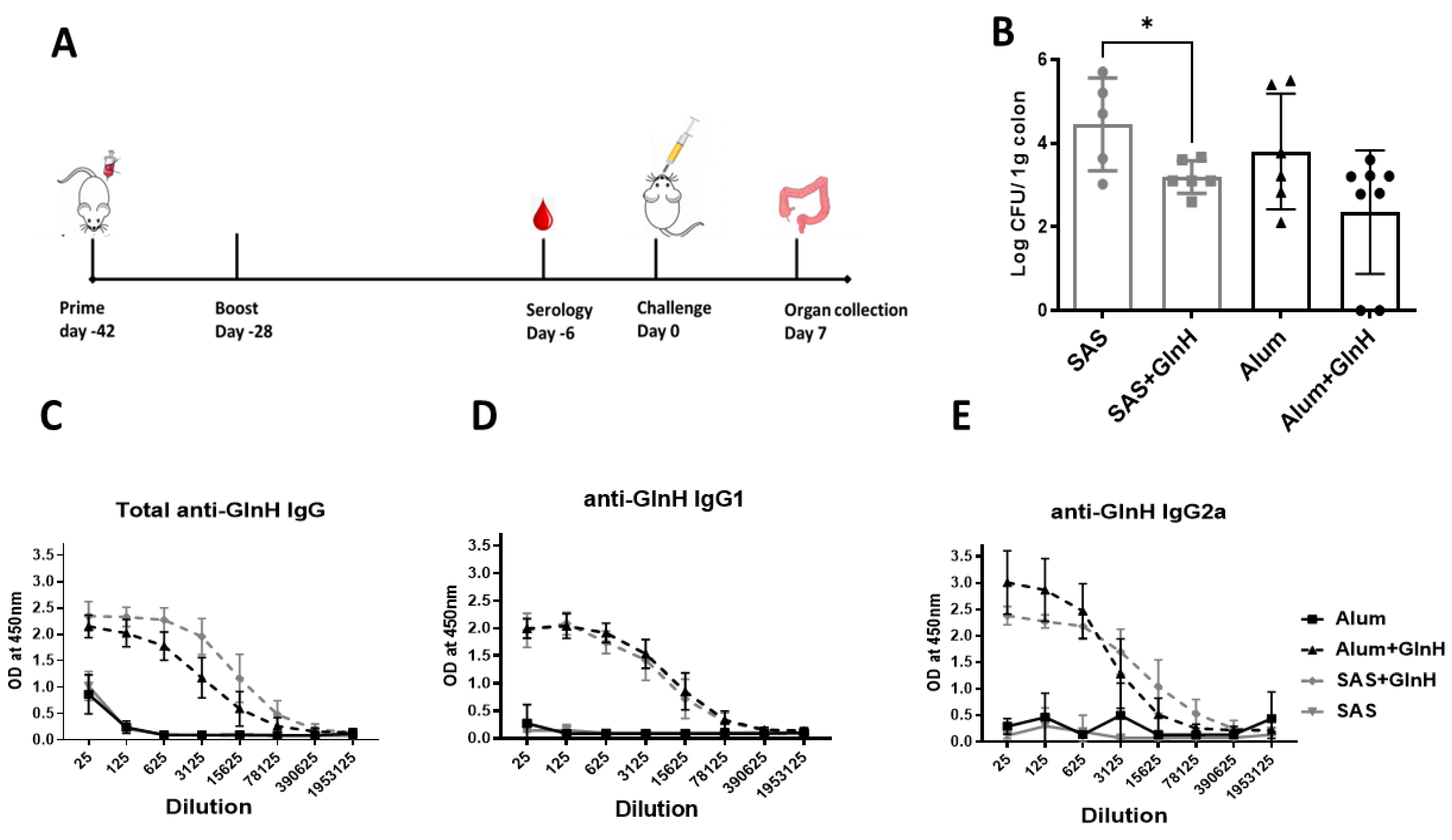 Vaccines 11 00175 g005