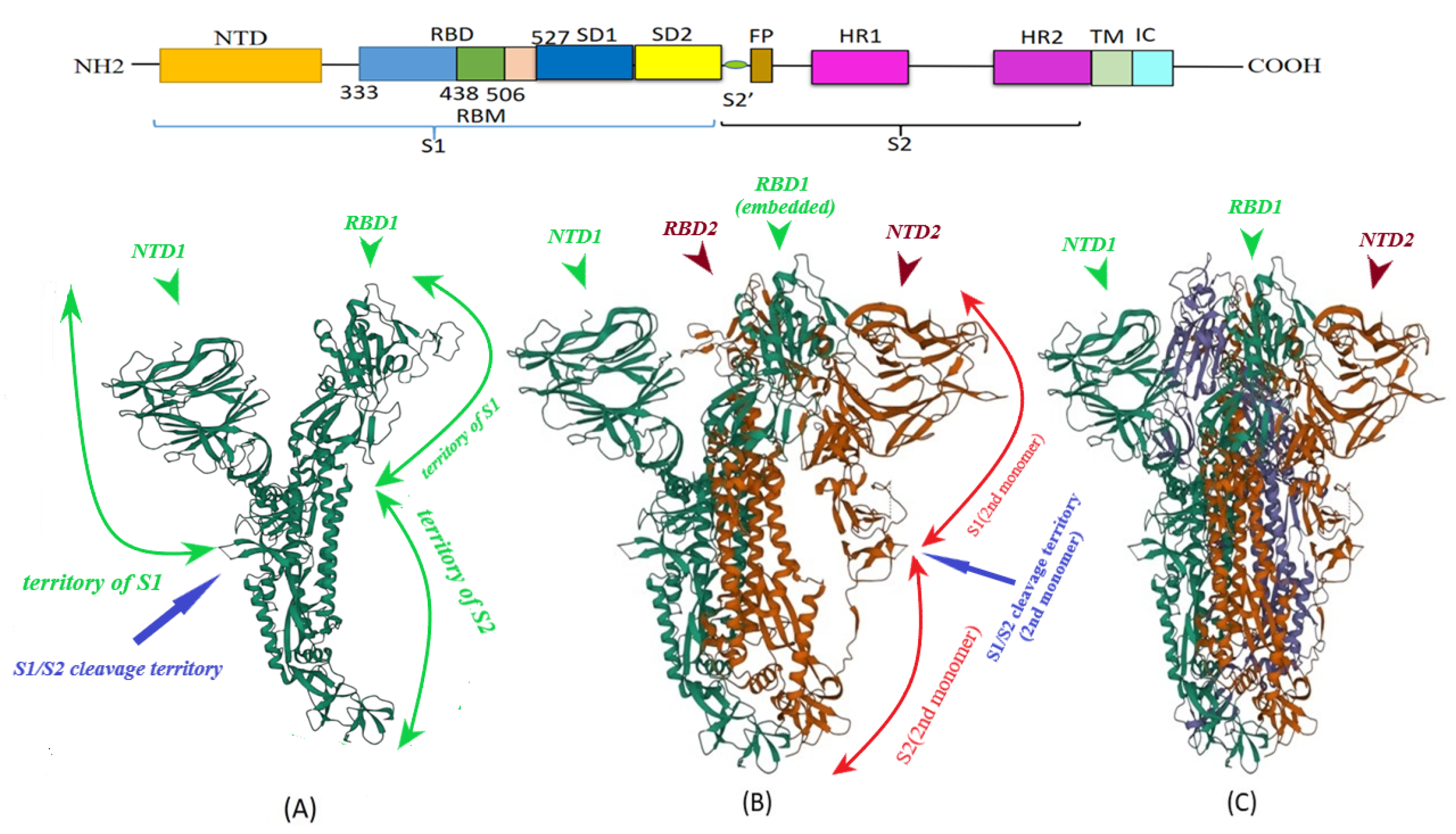 Vaccines 11 00204 g001 Vaccines 11 00204 g001
