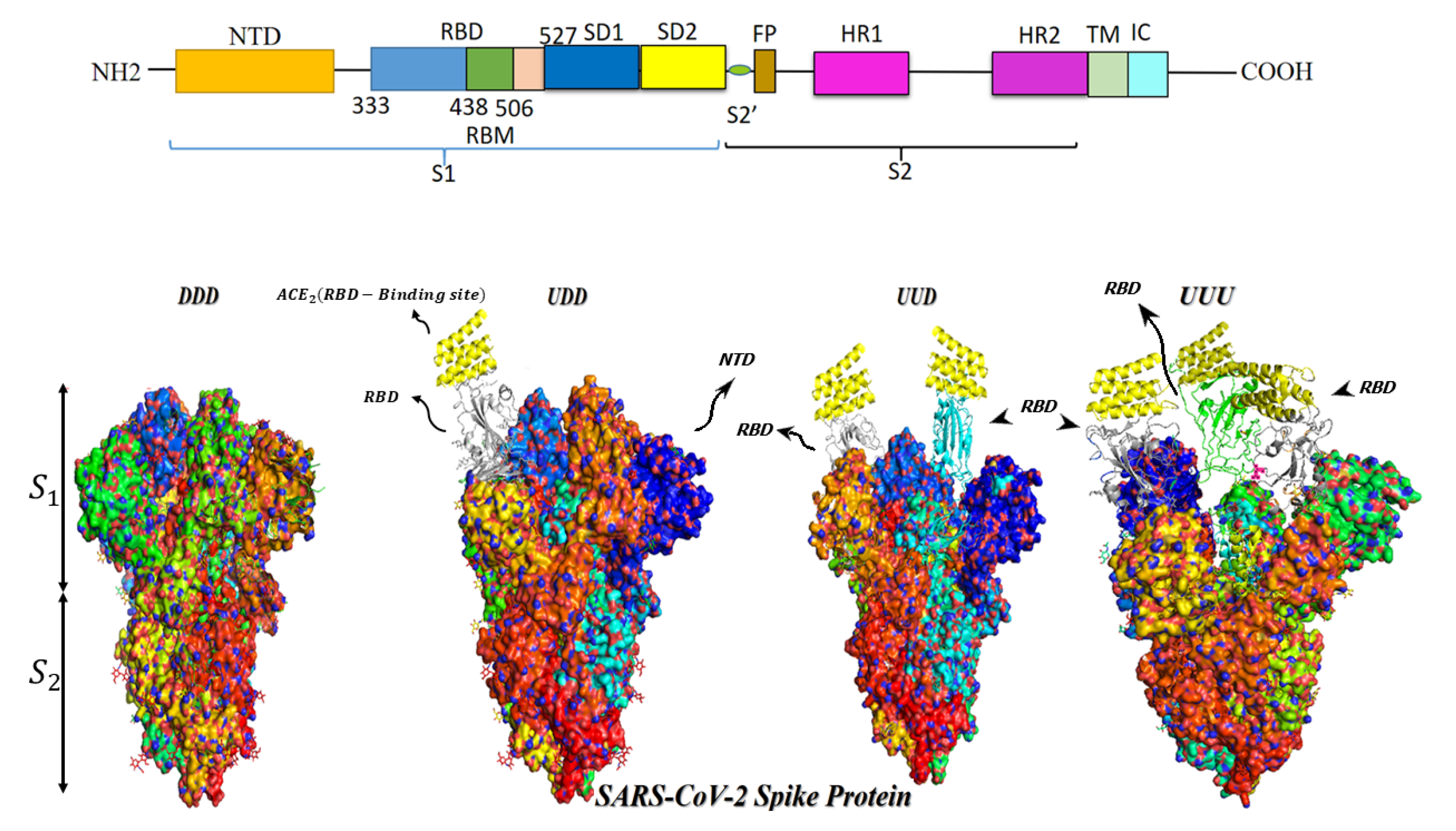 Vaccines 11 00204 g002 Vaccines 11 00204 g002