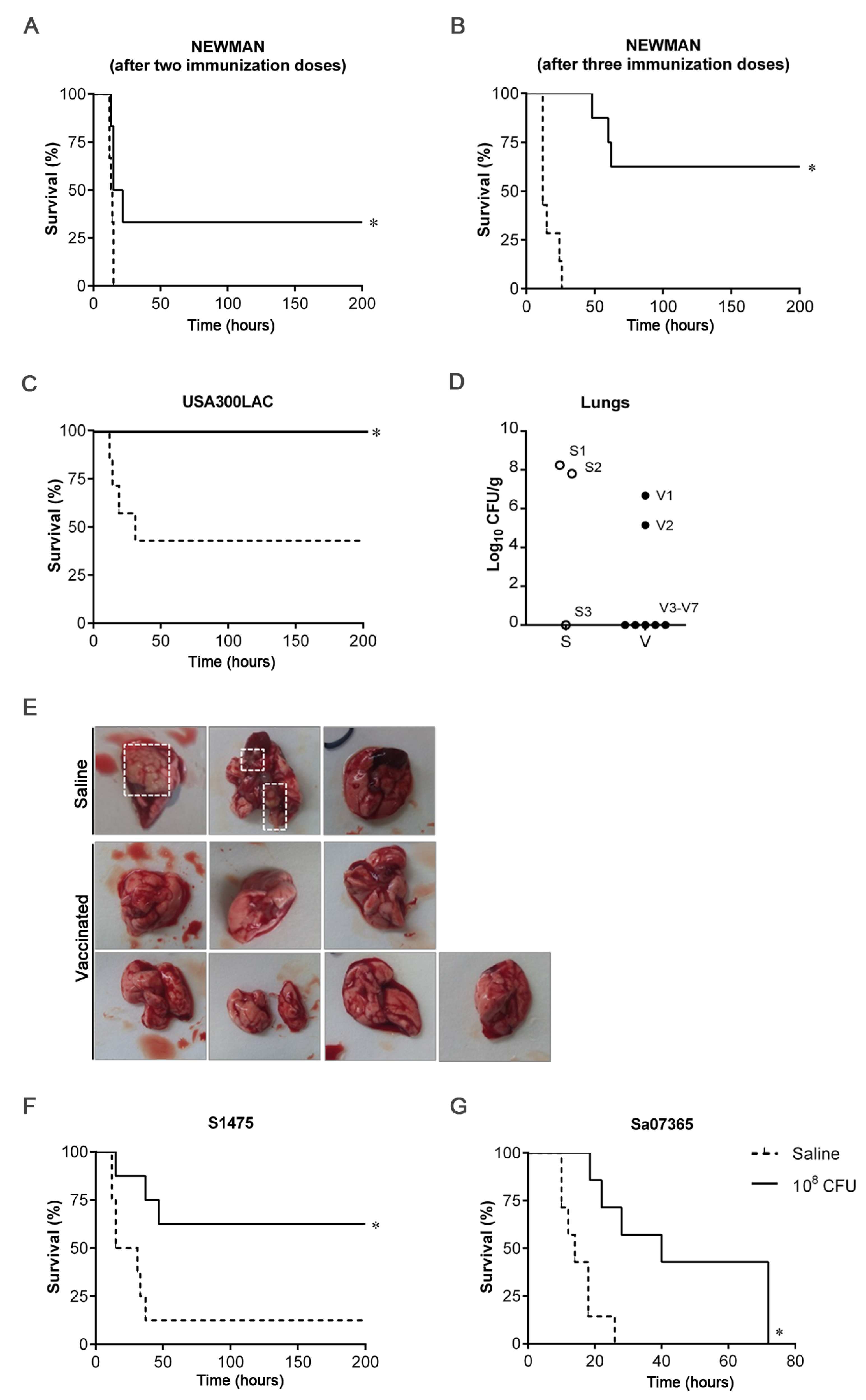 Vaccines 11 00210 g003