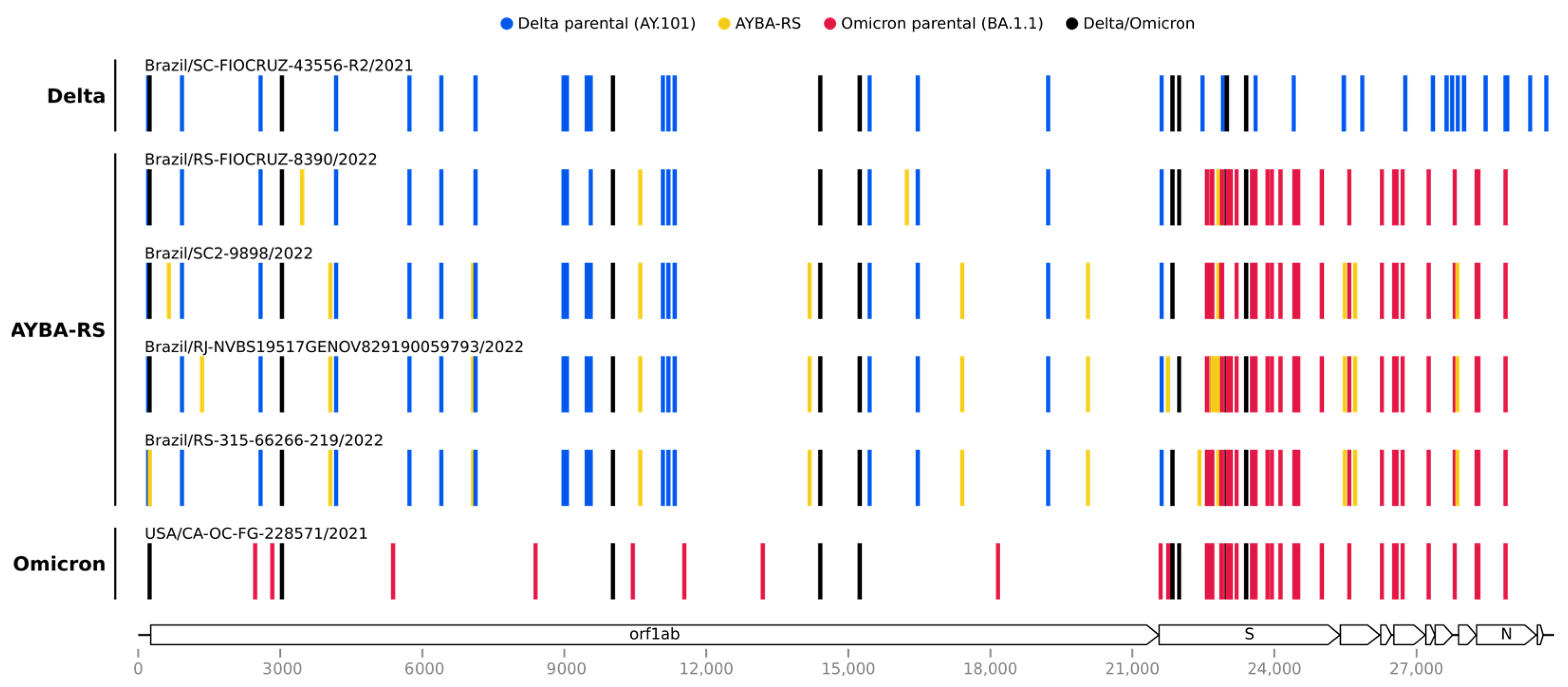 Vaccines 11 00212 g001