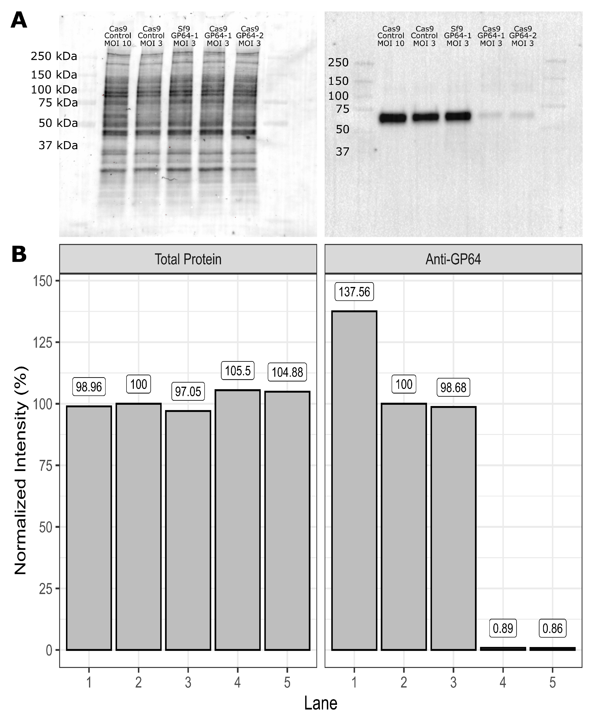 Vaccines 11 00225 g001 Vaccines 11 00225 g001